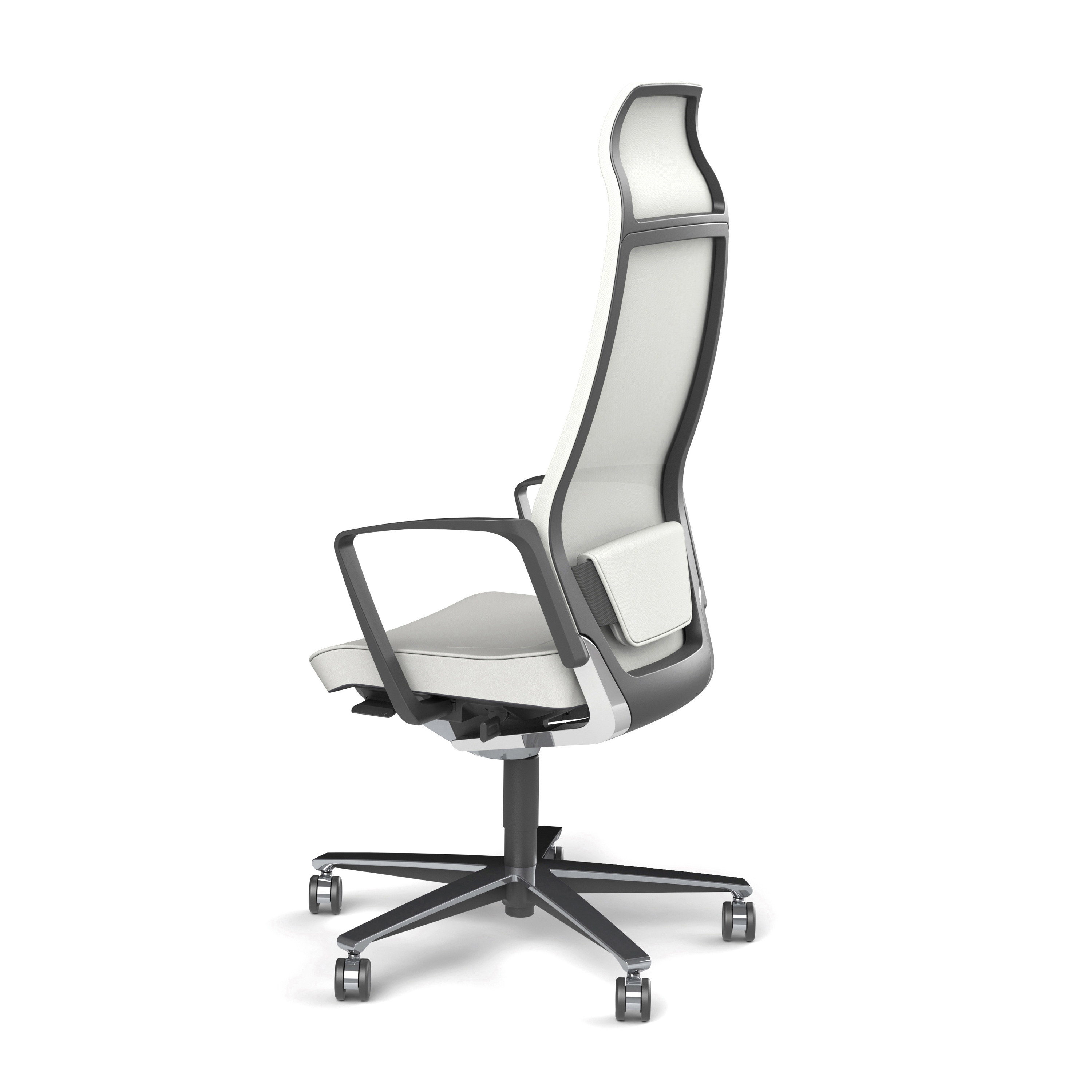 Produkt Selvio | SV 0145 des Herstellers Züco anzeigen