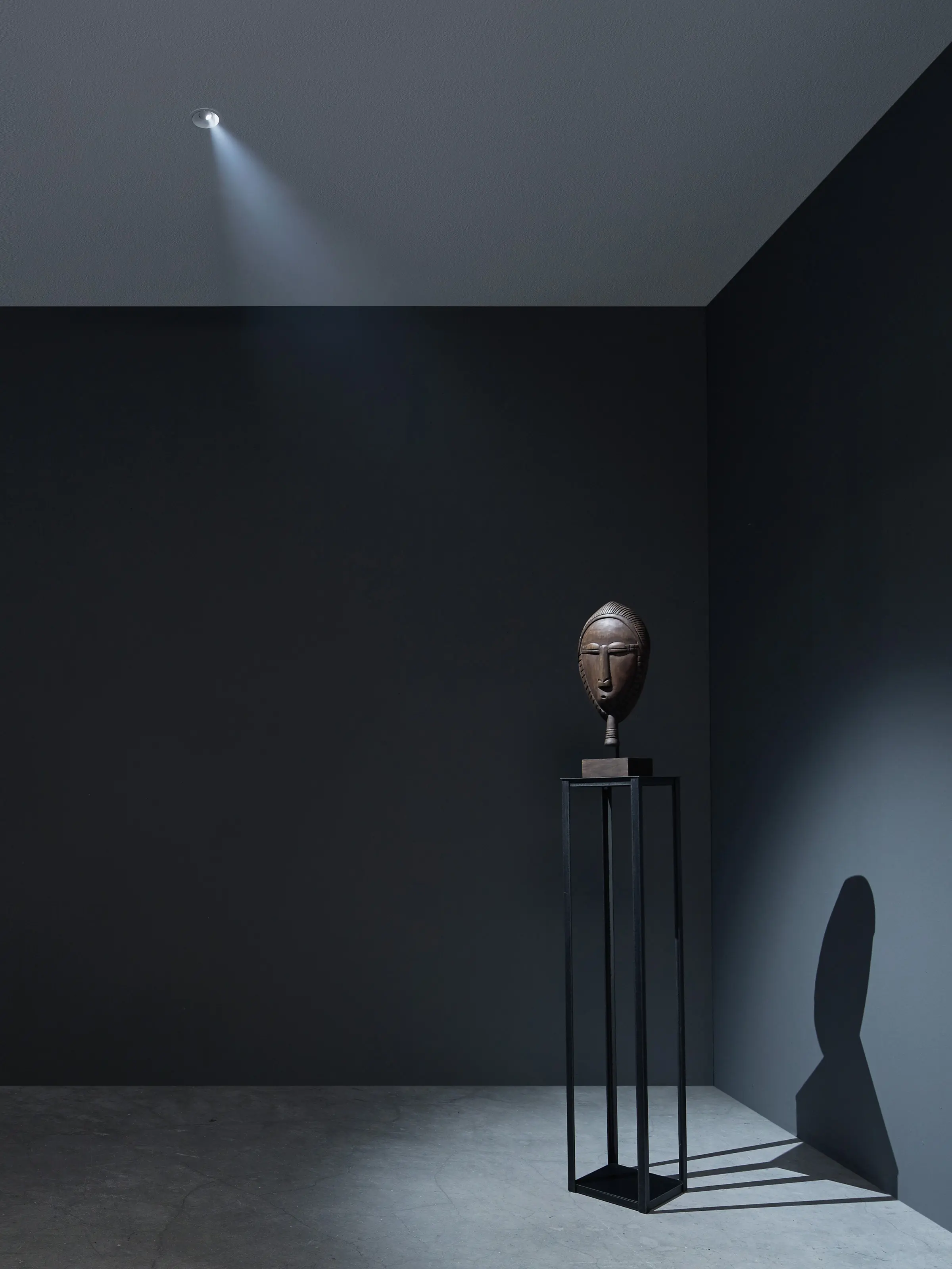 MOLTO LUCE - Blindspot R