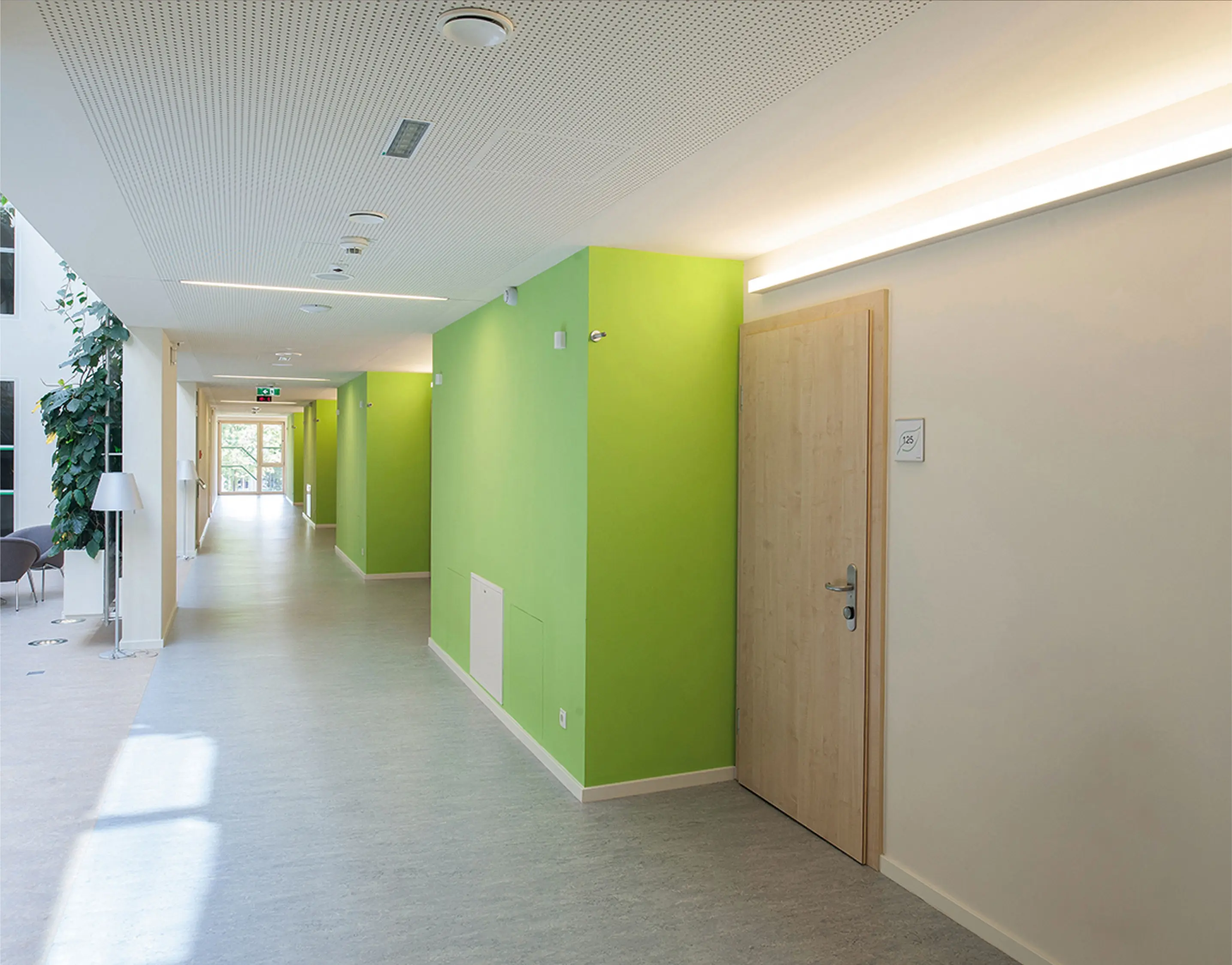 MOLTO LUCE - The Line SD