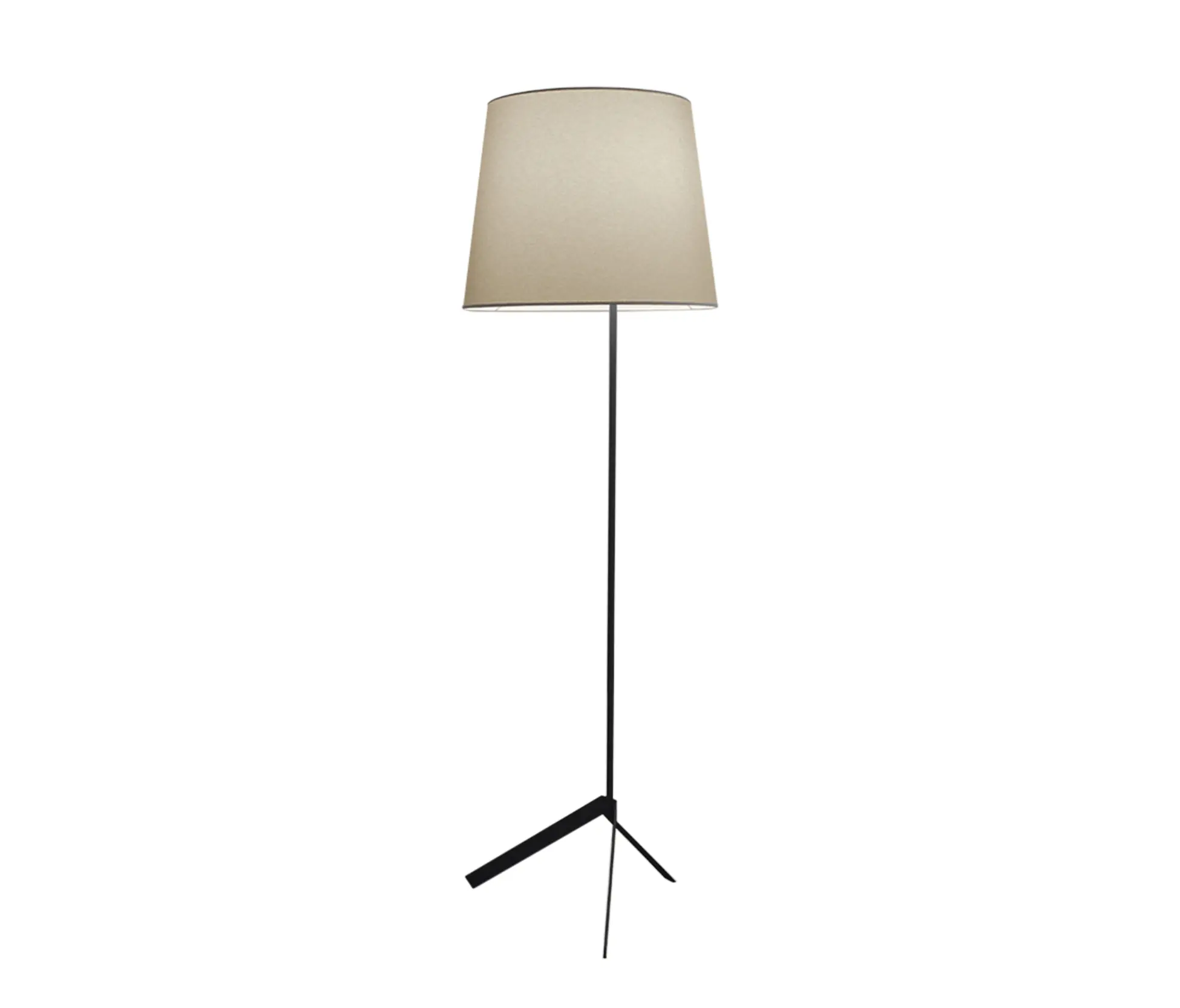 MOLTO LUCE - Bivio F