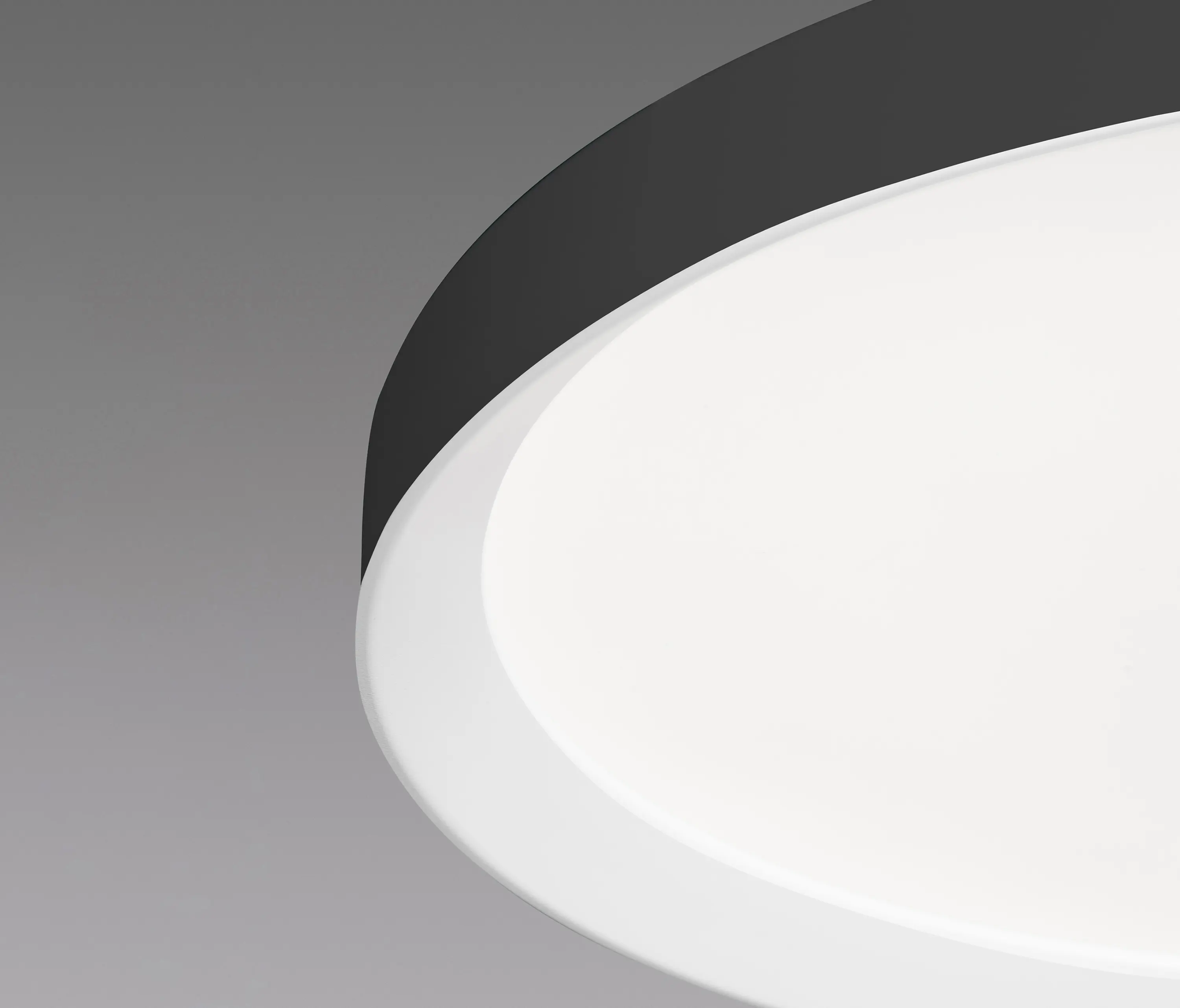 MOLTO LUCE - Bina Round PDI
