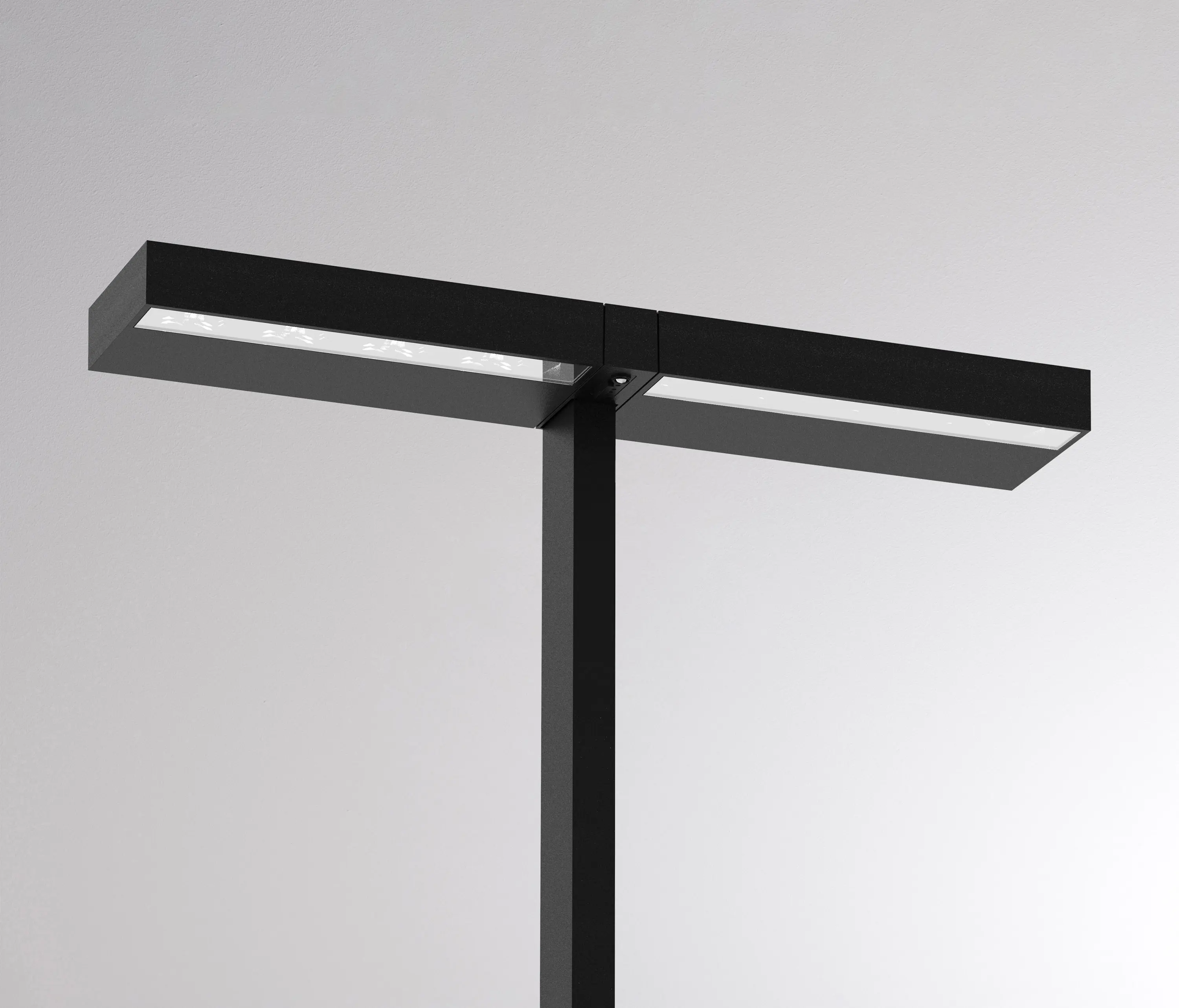 MOLTO LUCE - Concept Double