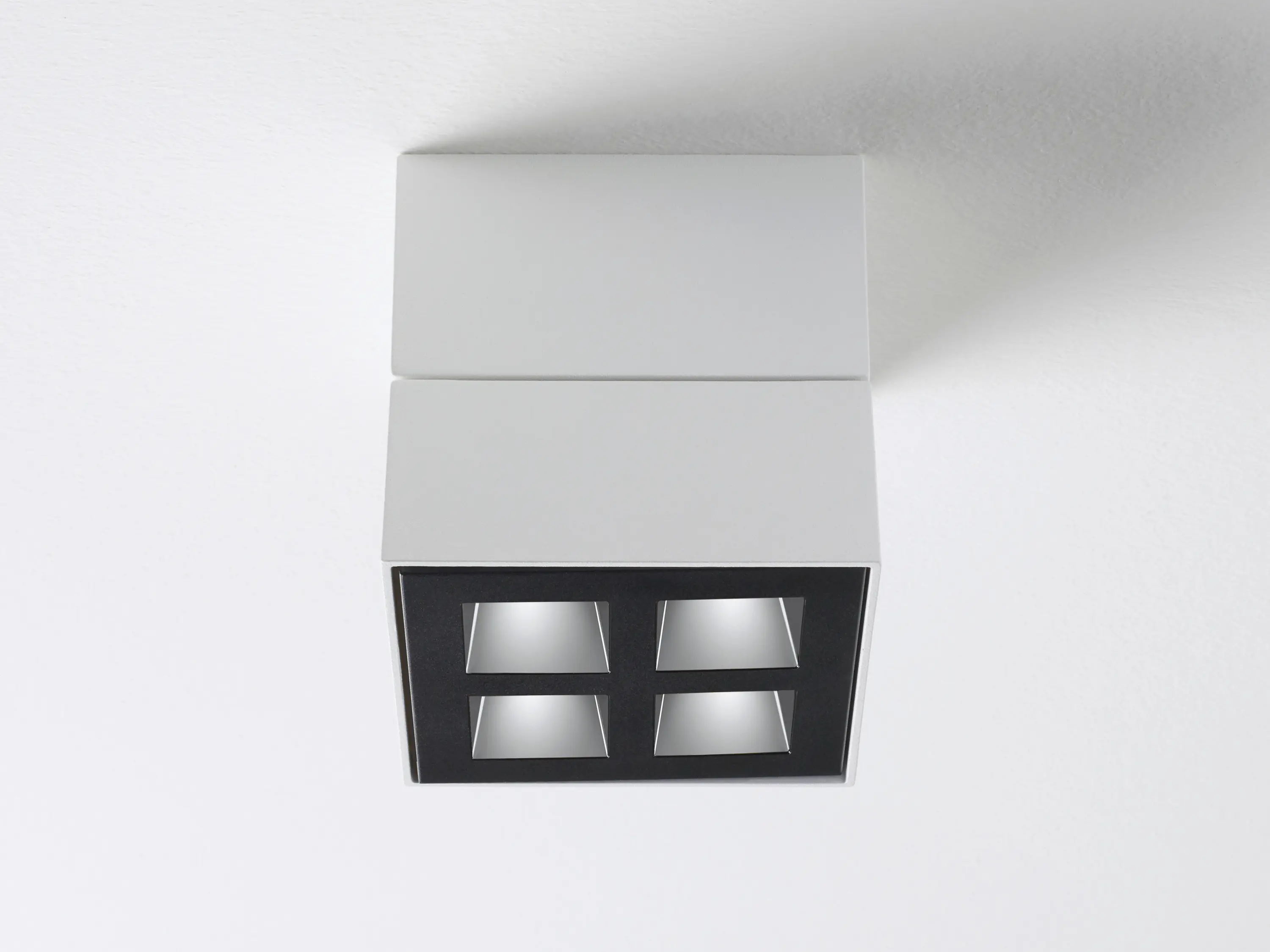 MOLTO LUCE - Grid SD