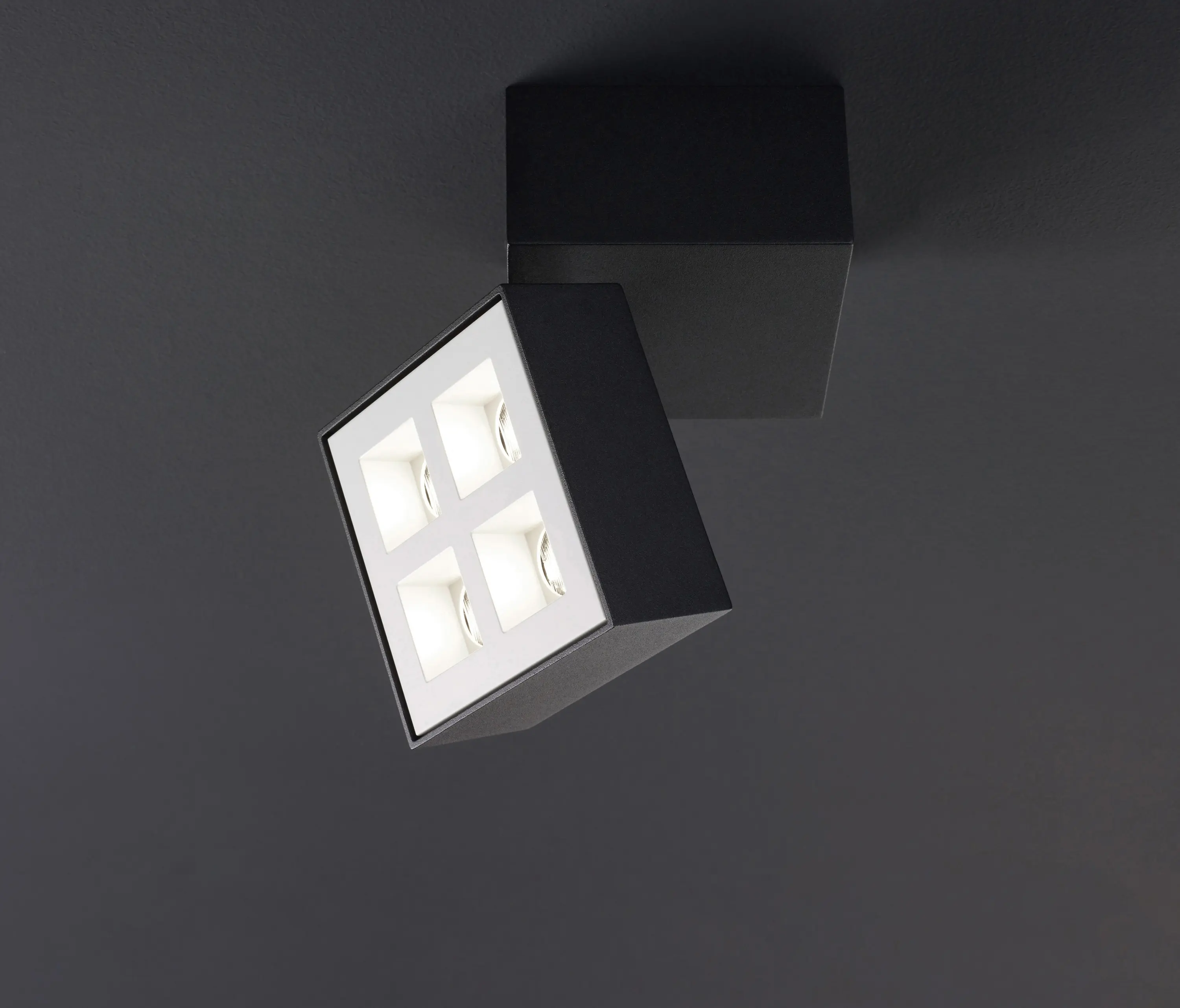 MOLTO LUCE - Grid Turn SD