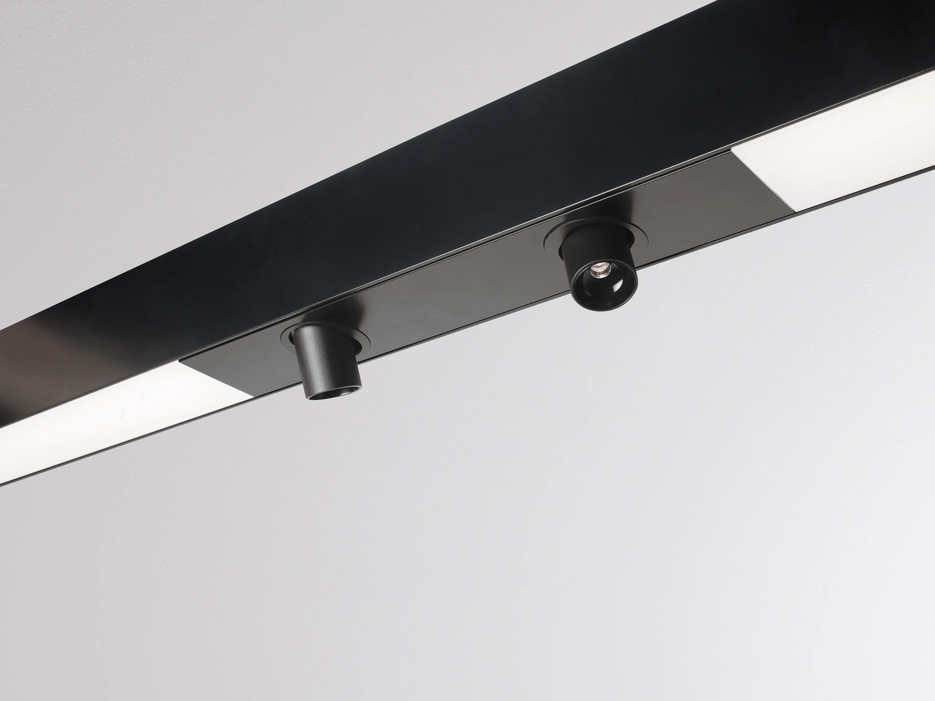 MOLTO LUCE - Log 2.1 System