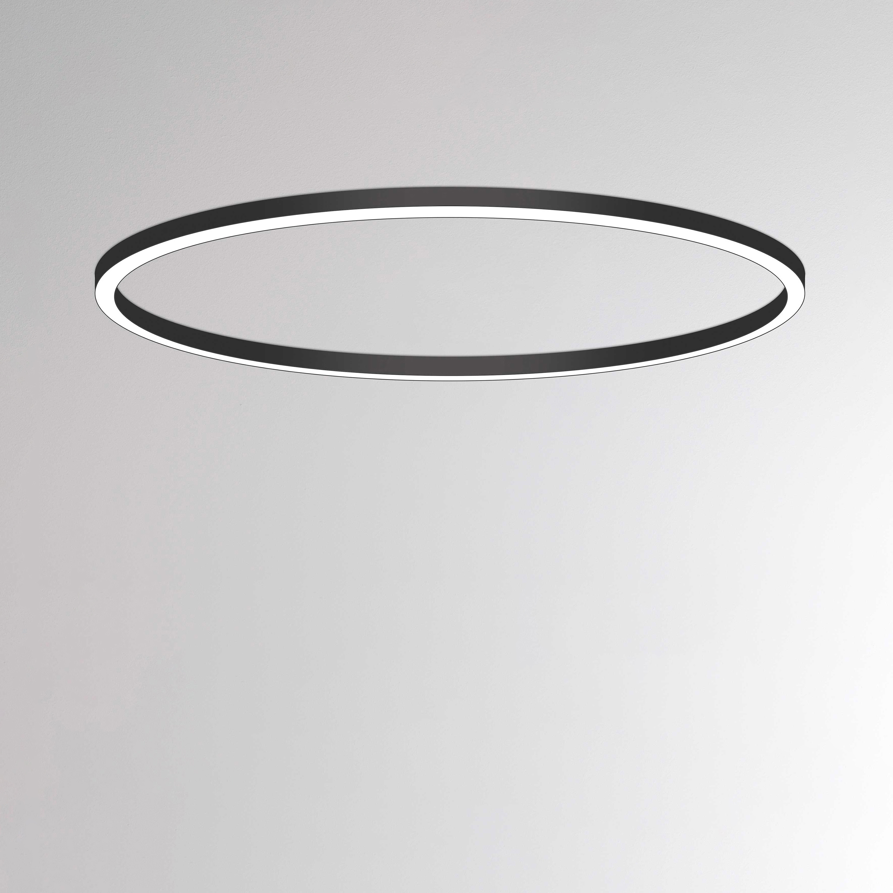 Mostrar el producto Ride Ring SD del fabricante MOLTO LUCE