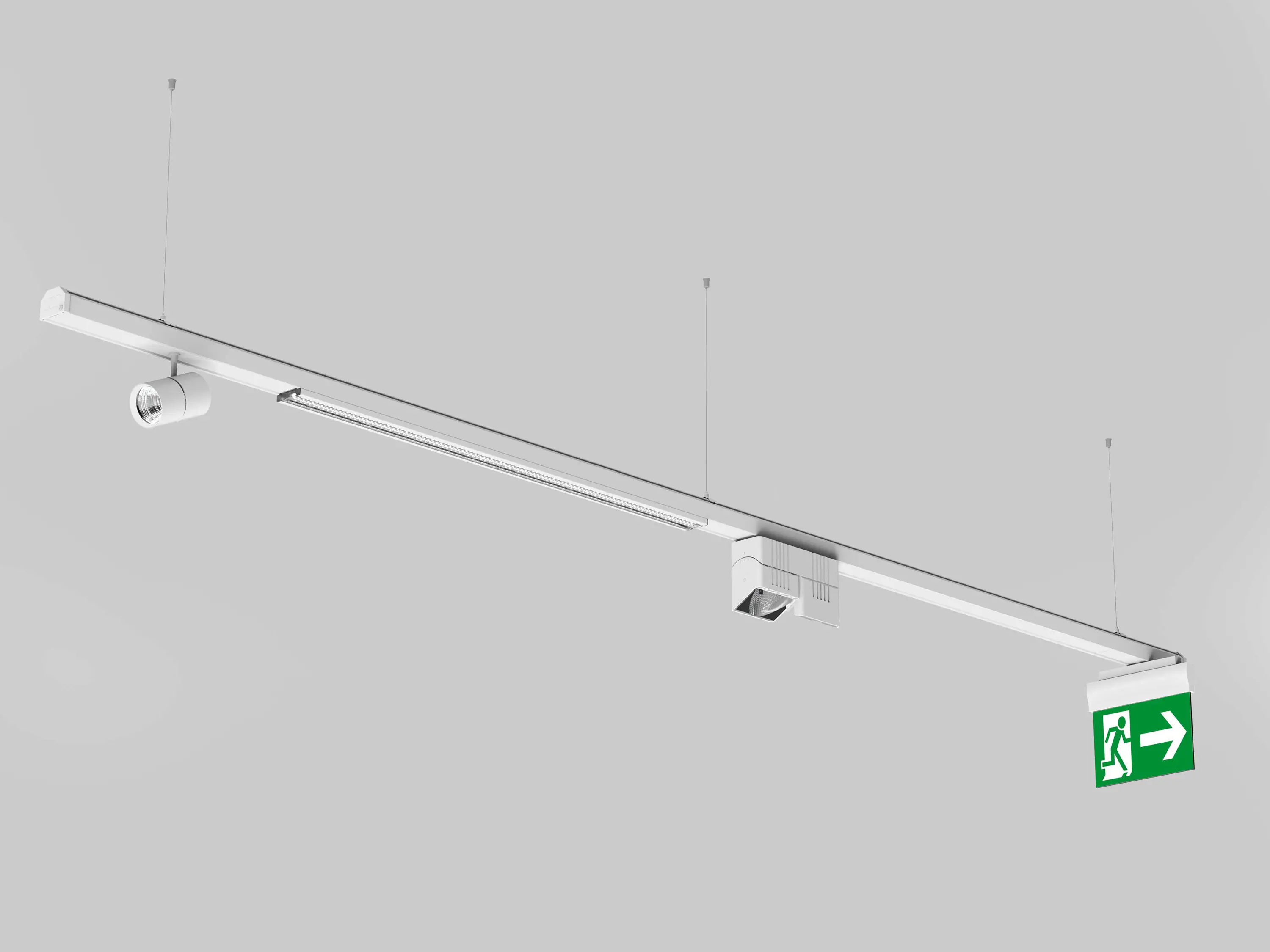 MOLTO LUCE - Trail