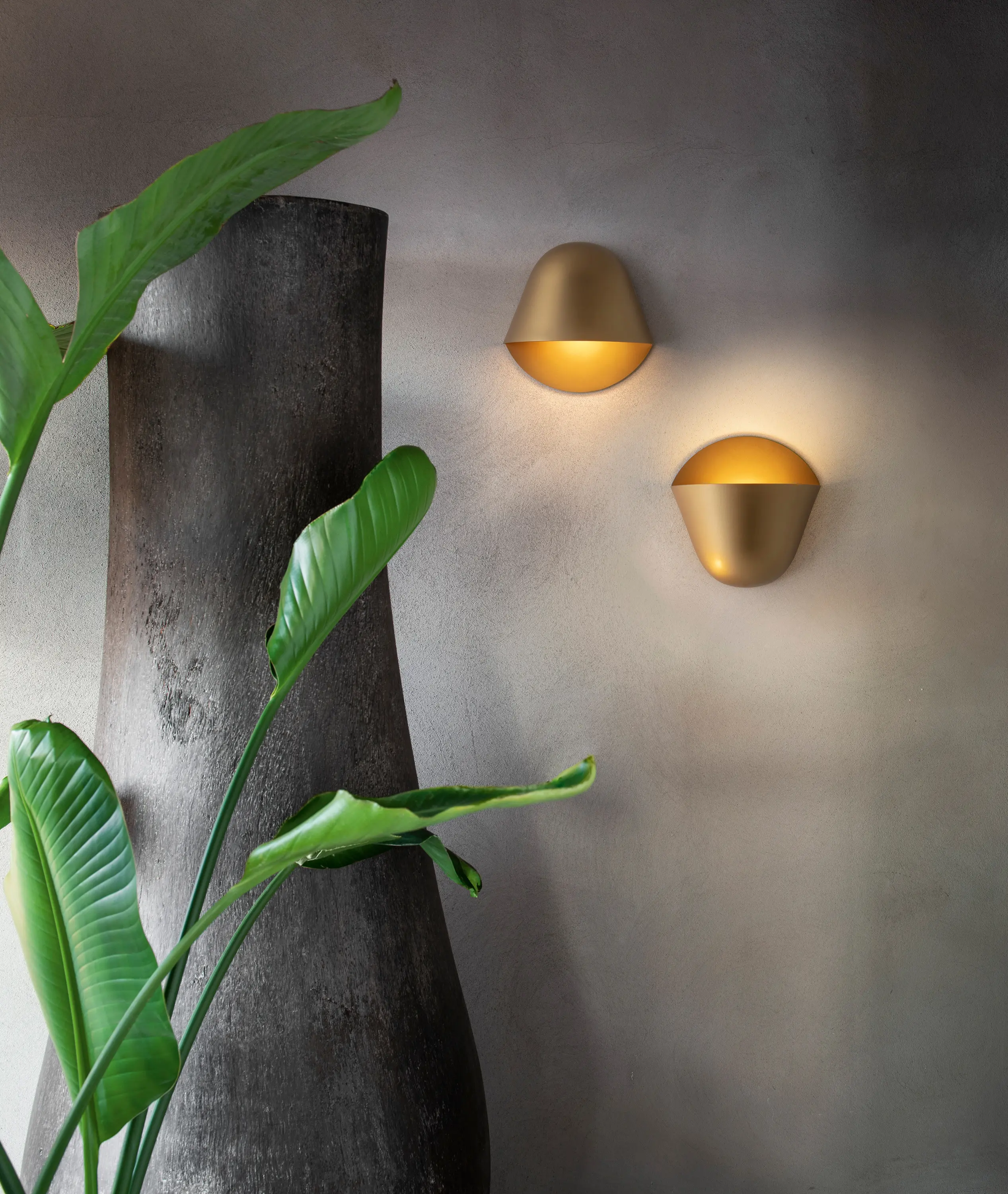 Penta - ENOKI wall lamp