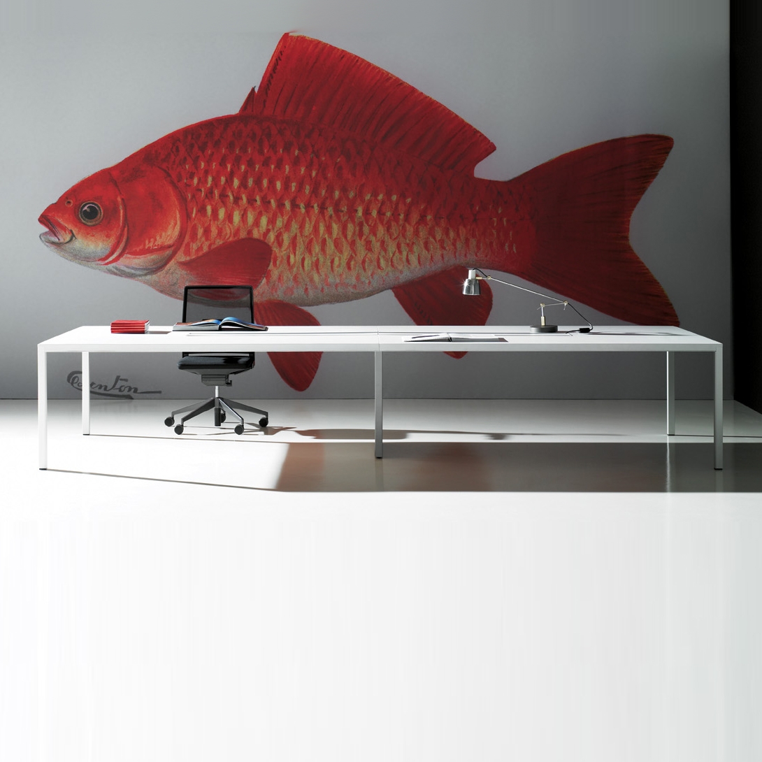 Display product Neta from manufacturer Dynamobel