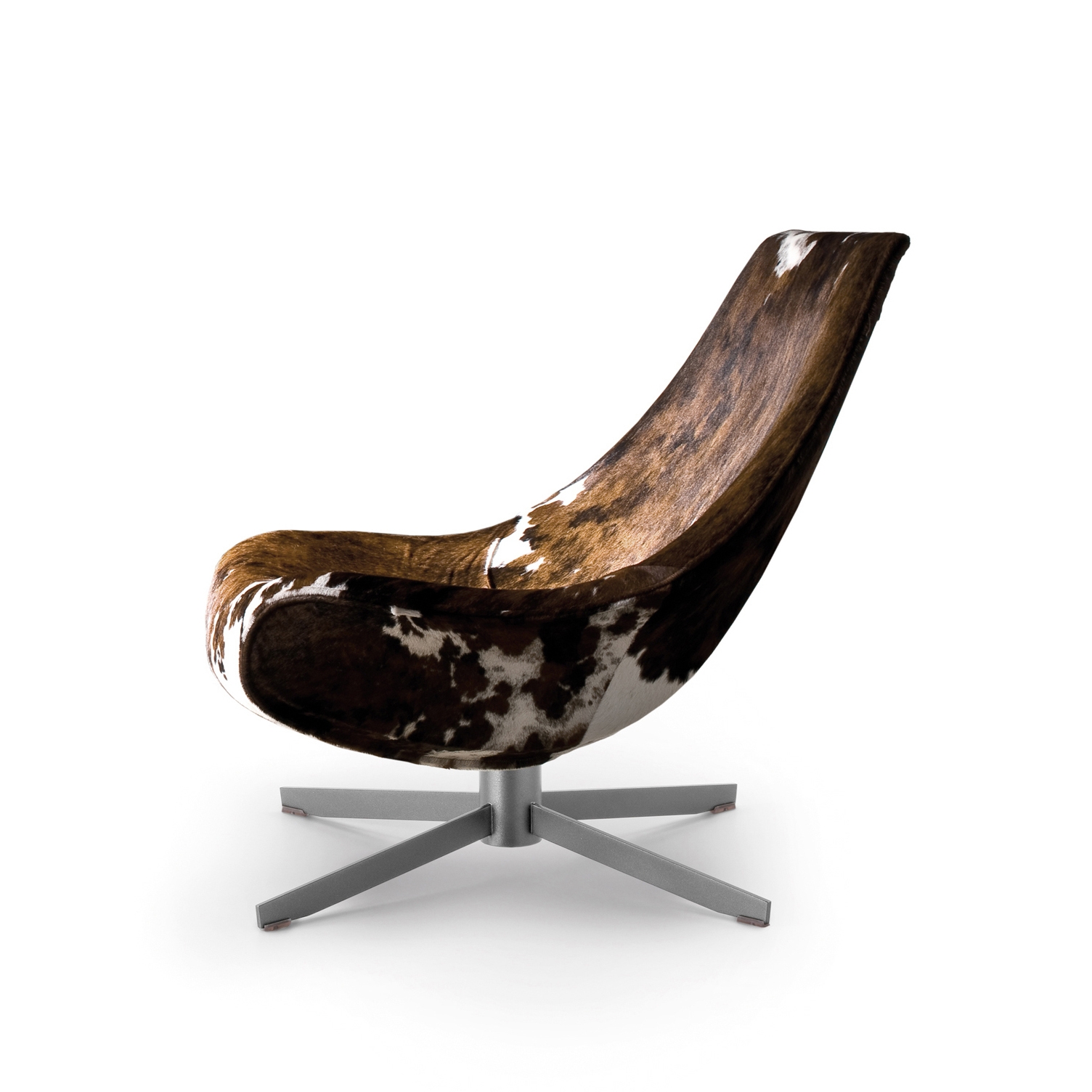 Display product Oyster from manufacturer i 4 Mariani
