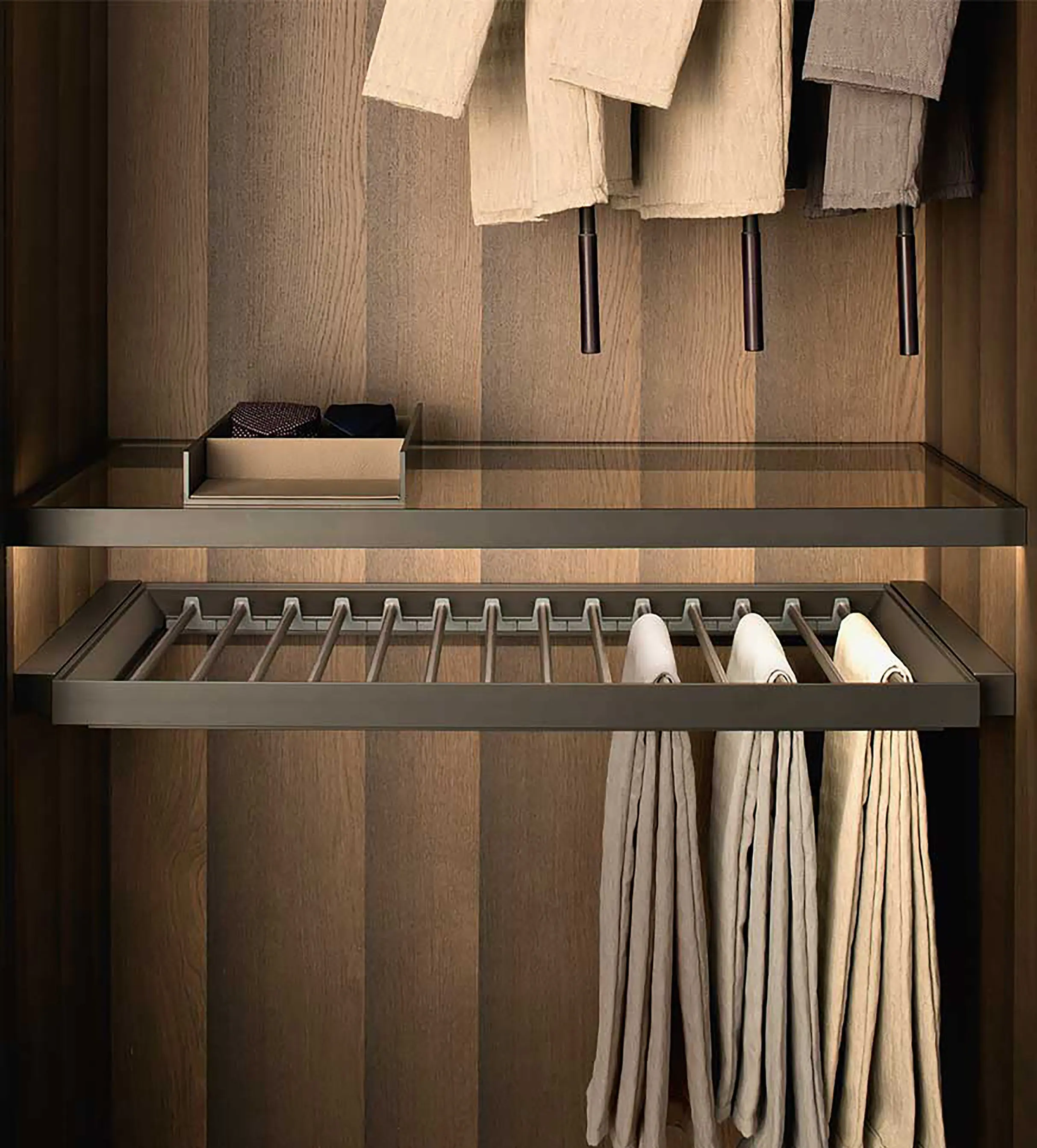 Former - Fittings Tech - Pull-Out Tray With Trousers & Skirt Hangers