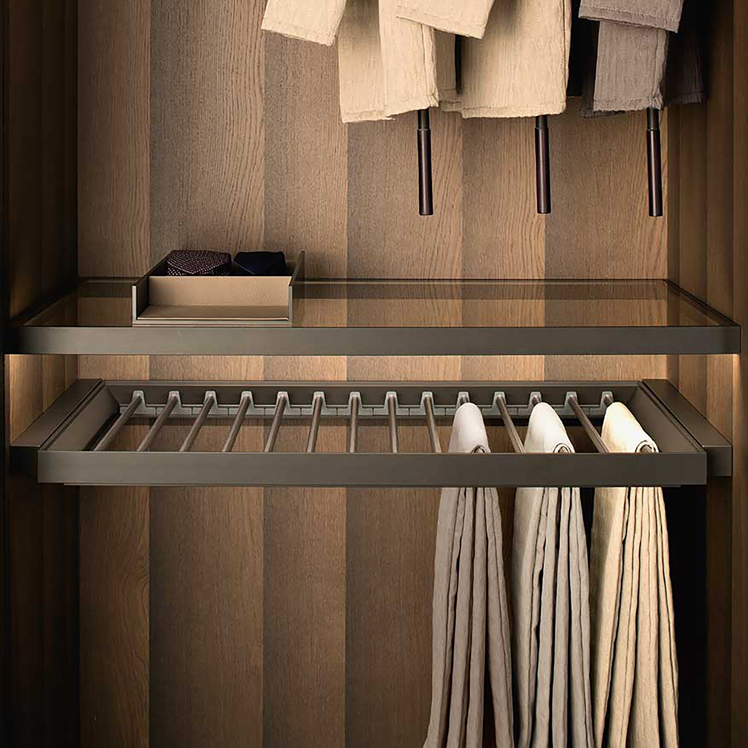 Display product Fittings Tech - Pull-Out Tray With Trousers & Skirt Hangers from manufacturer Former