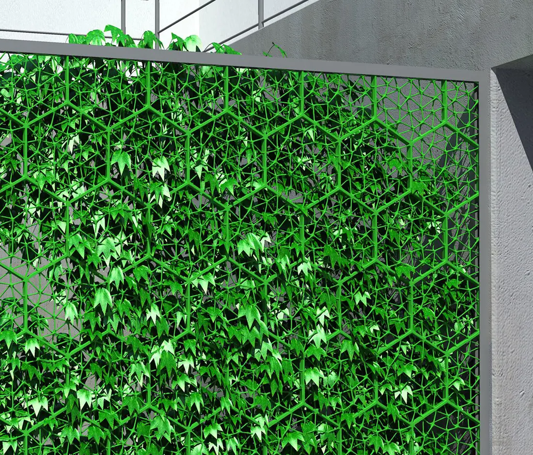 Freedom Of Creation - Macedonia space divider