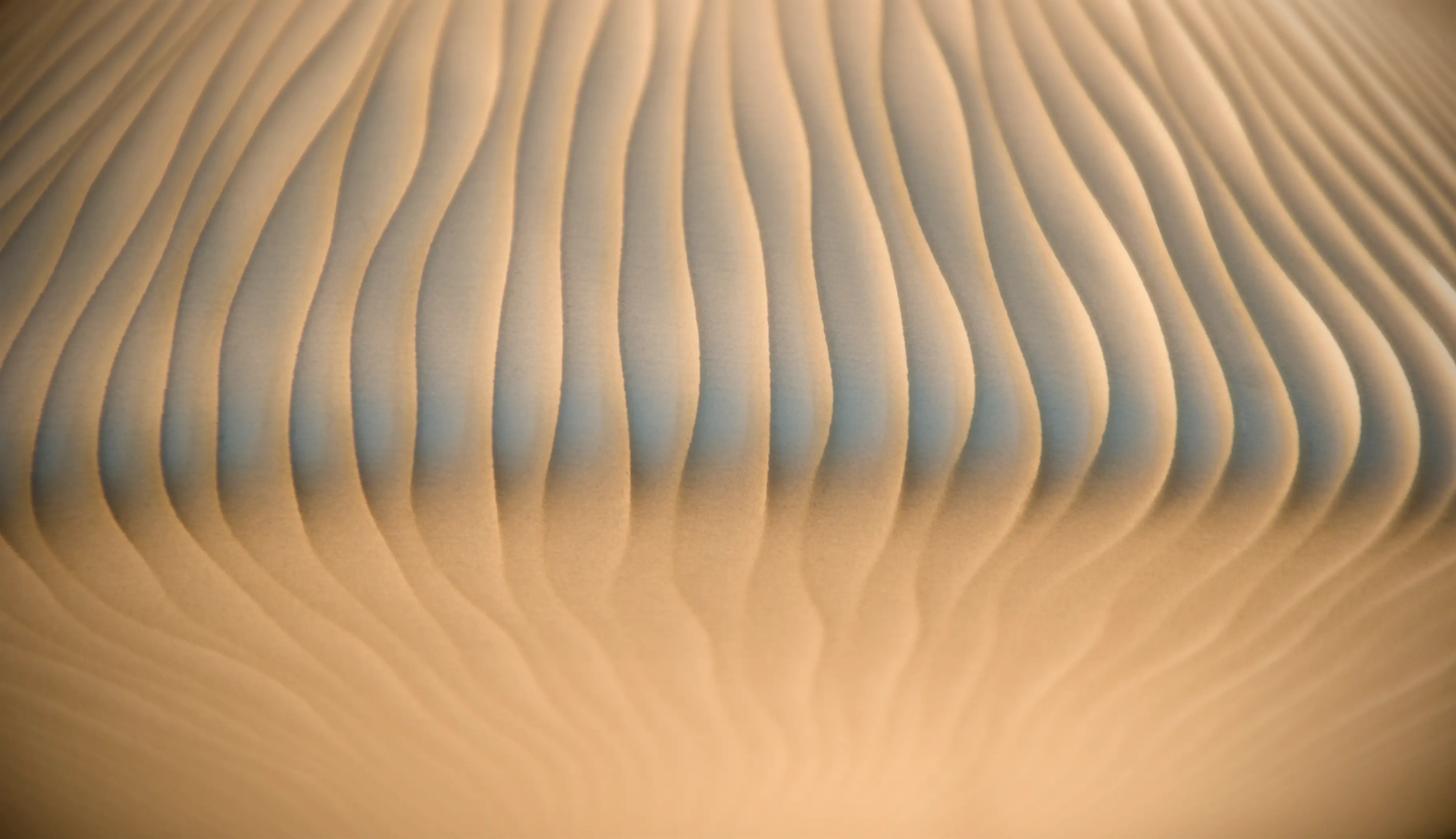 Freedom Of Creation - Lightnest