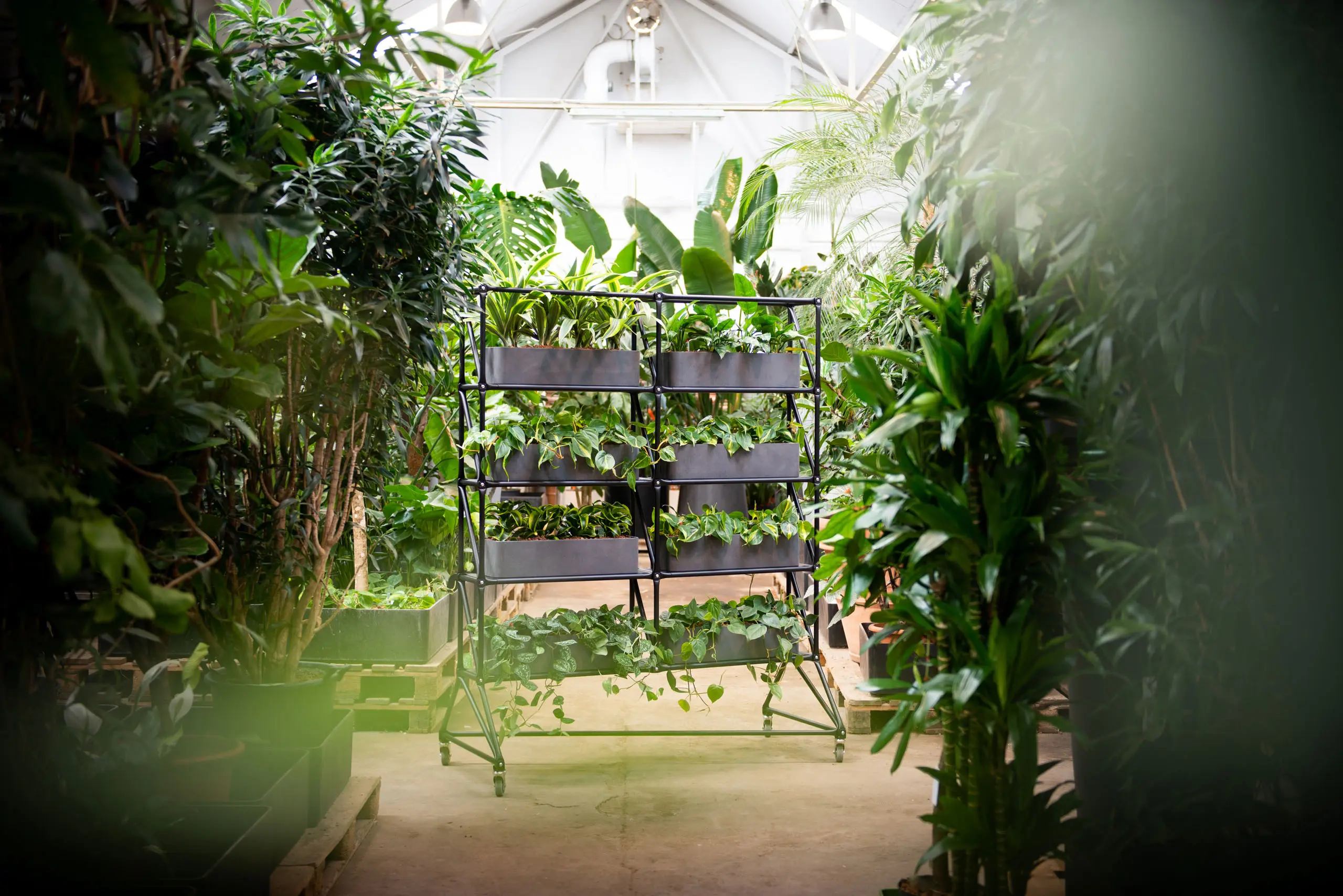 System 180 - Room divider #63543