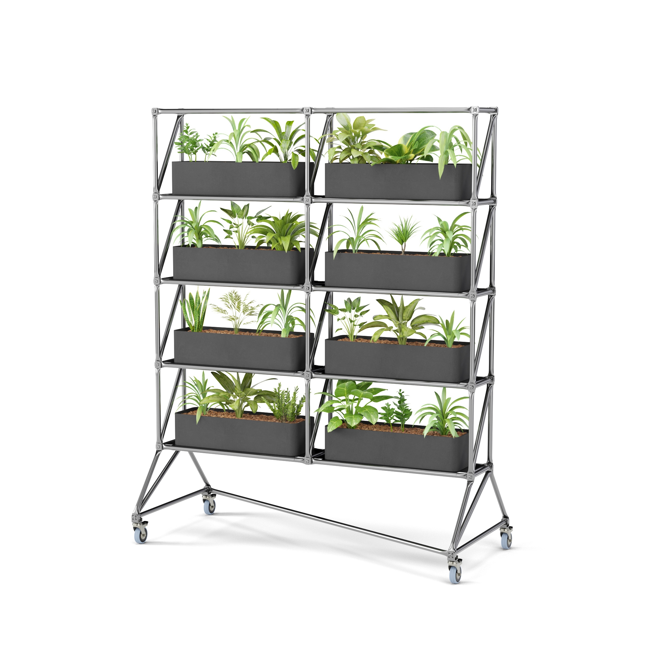 GardenParti #74466