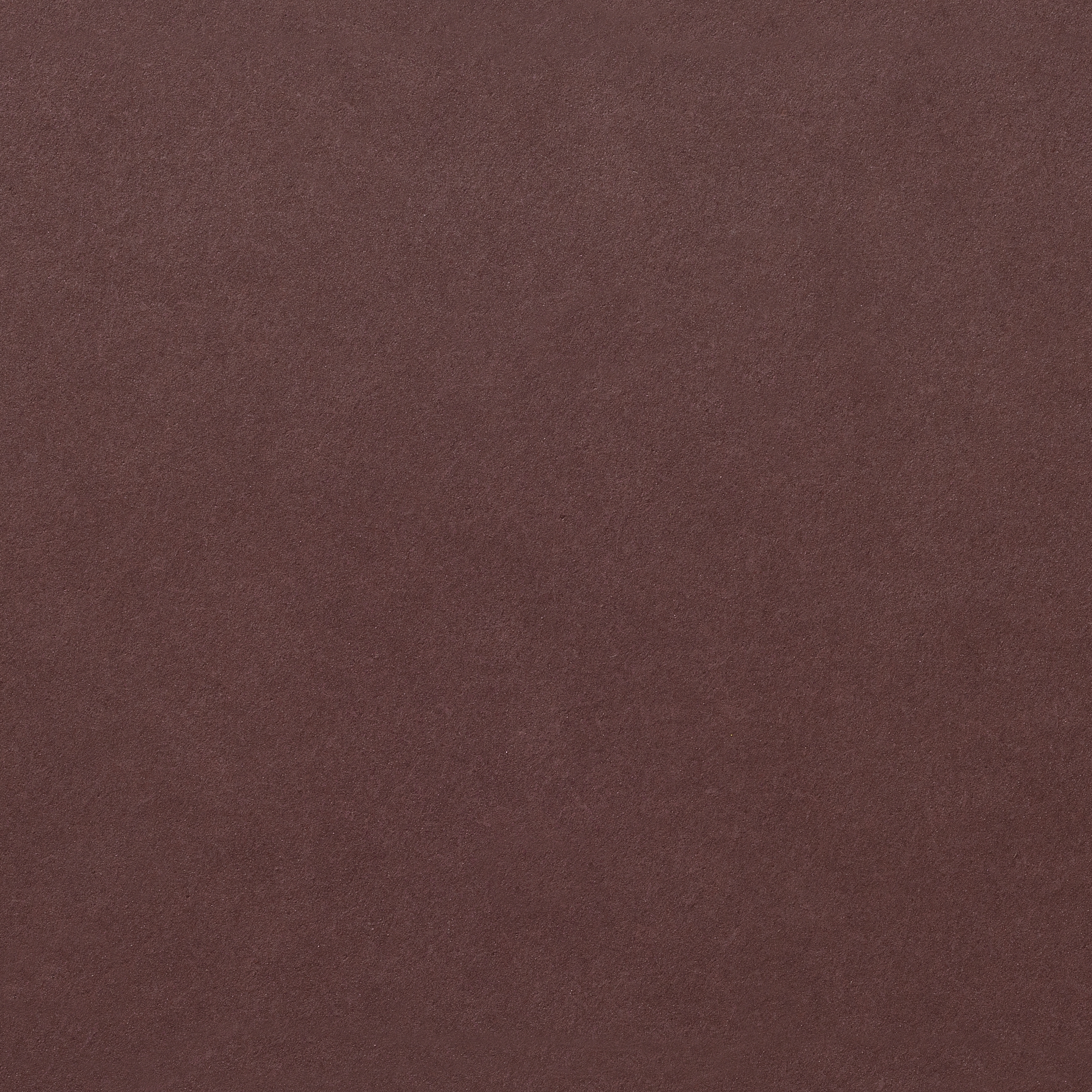 Clinar Clip | Terra Amber 755