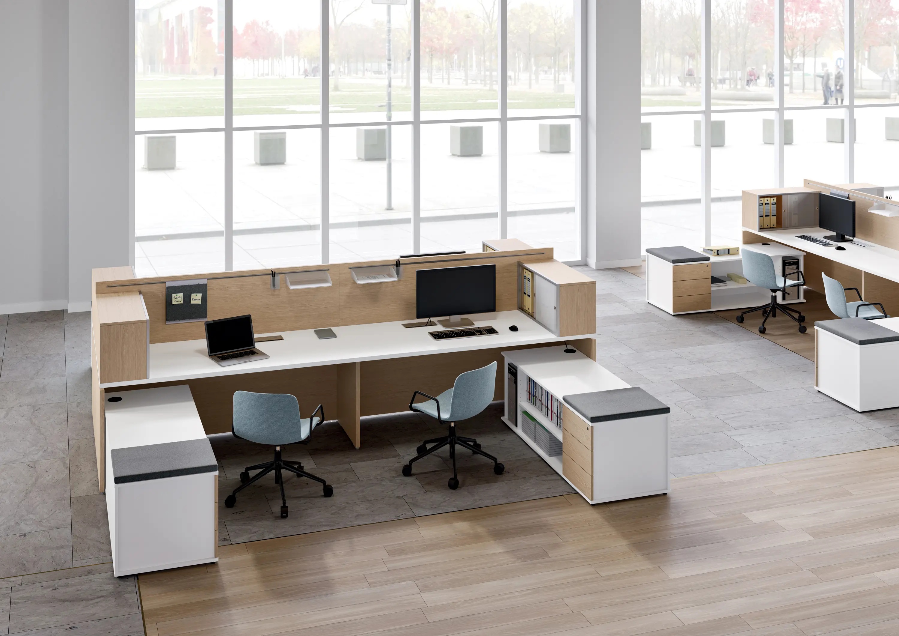 ALEA - Atlante workstation