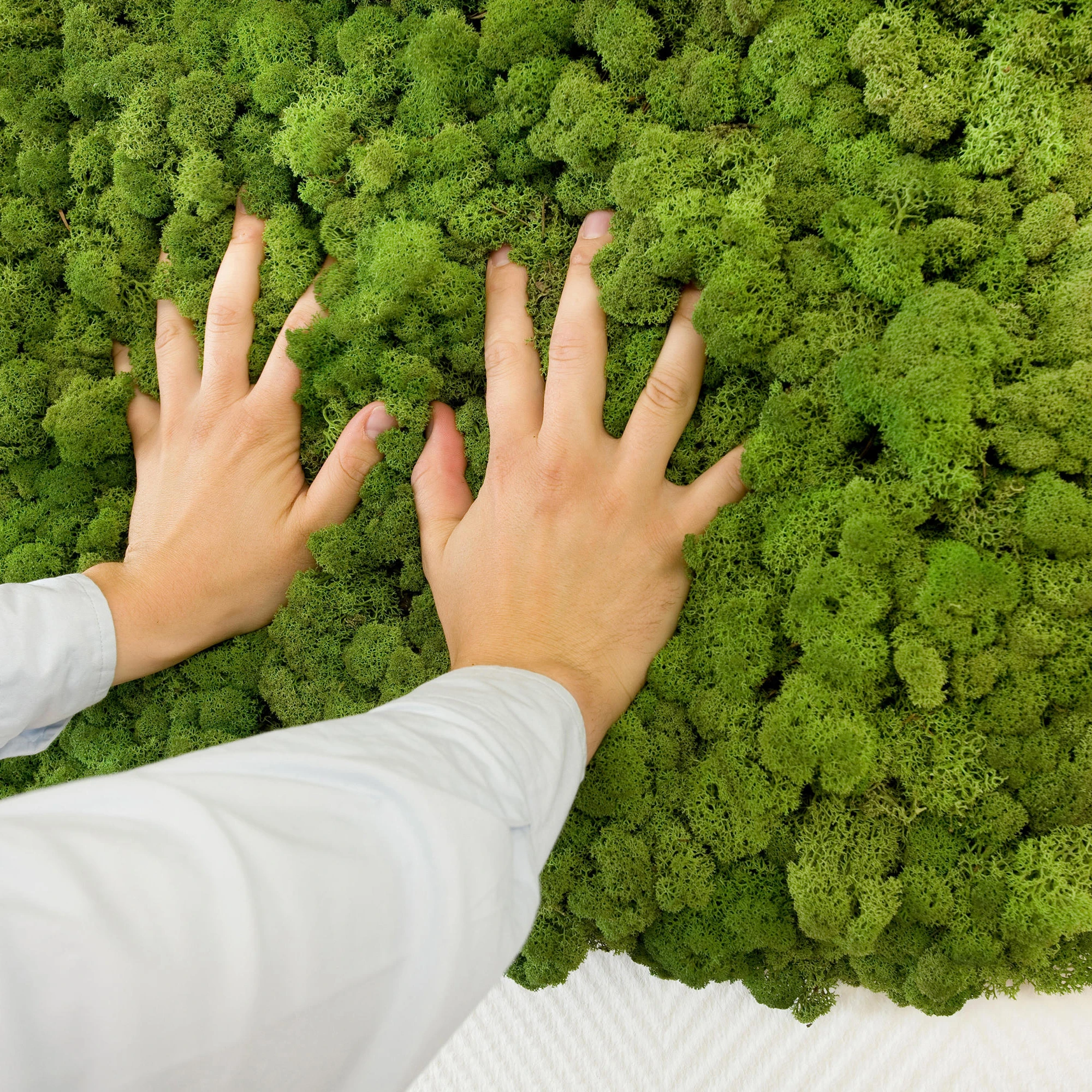 GREEN