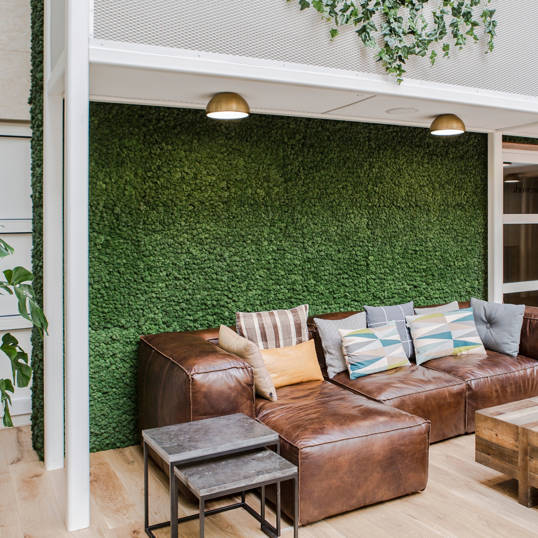 Display product Evergreen Premium Moss from manufacturer Freund
