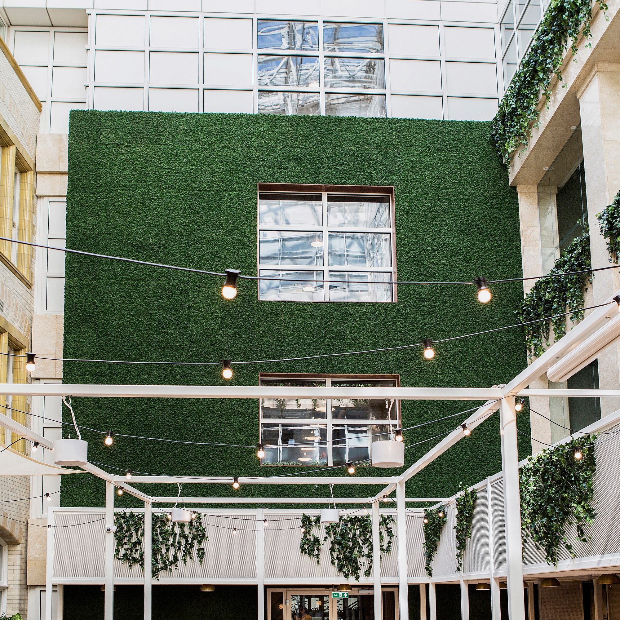 Display product Evergreen Premium Moss from manufacturer Freund
