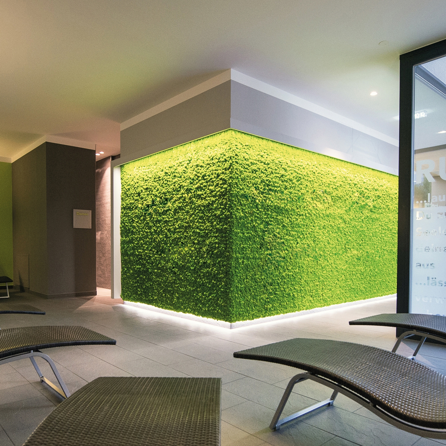 Display product Evergreen Premium Moss from manufacturer Freund