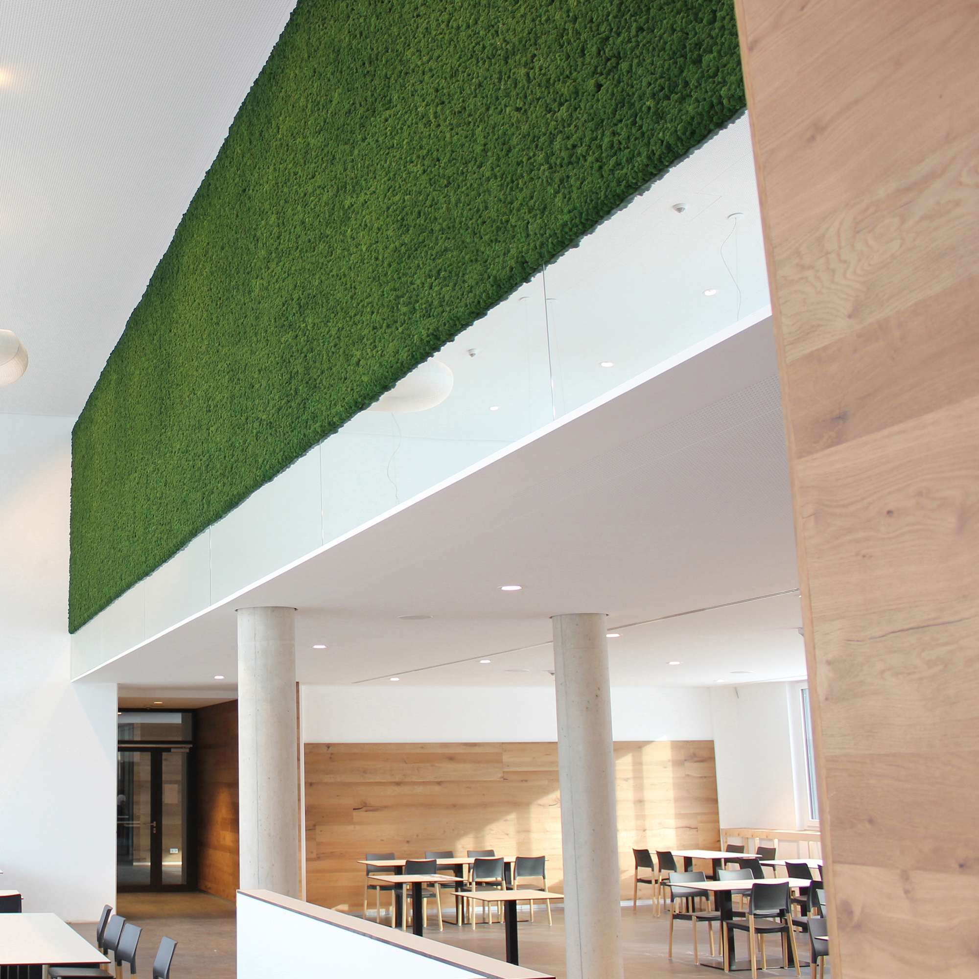 Display product Evergreen Premium Moss from manufacturer Freund