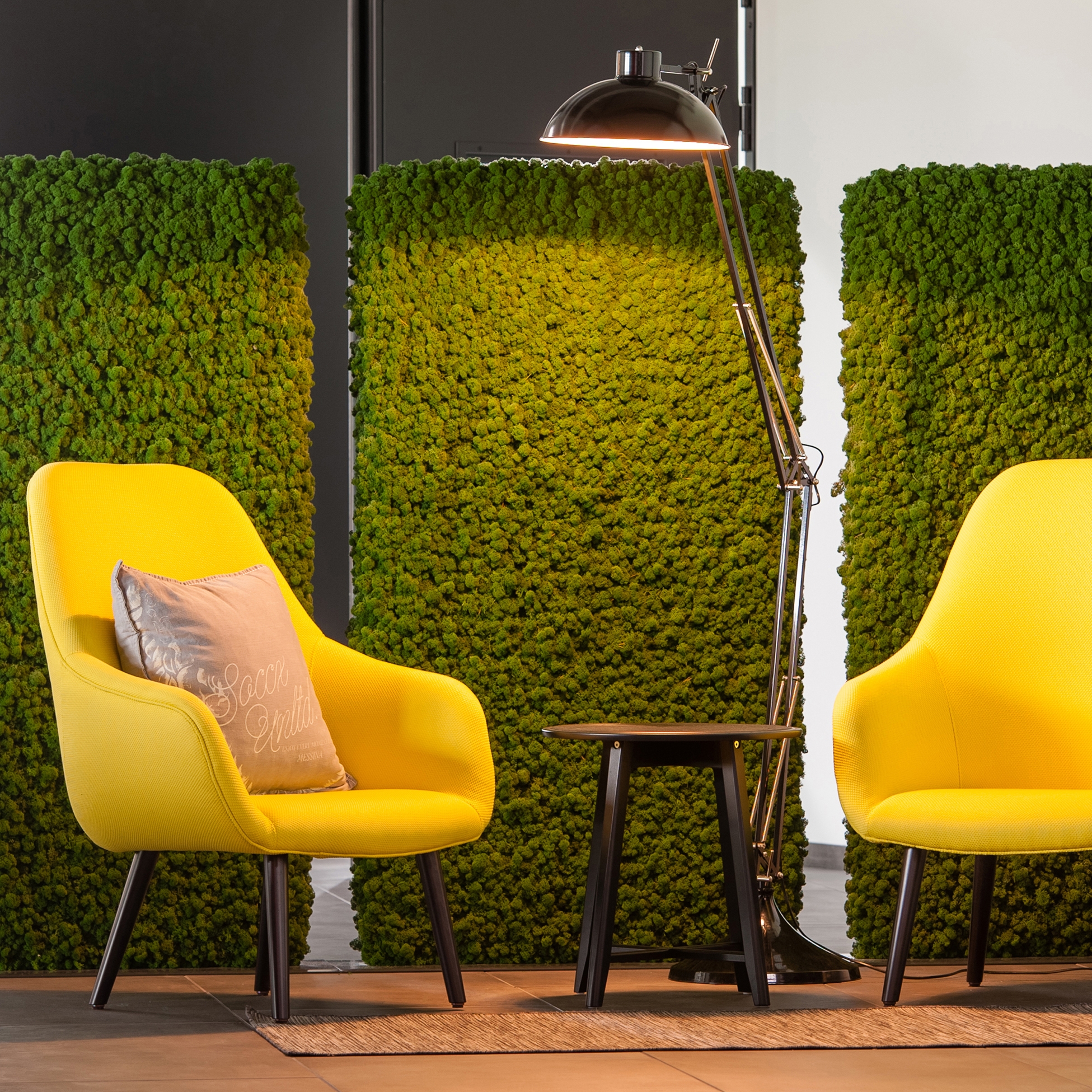 Display product Evergreen Premium Moss from manufacturer Freund