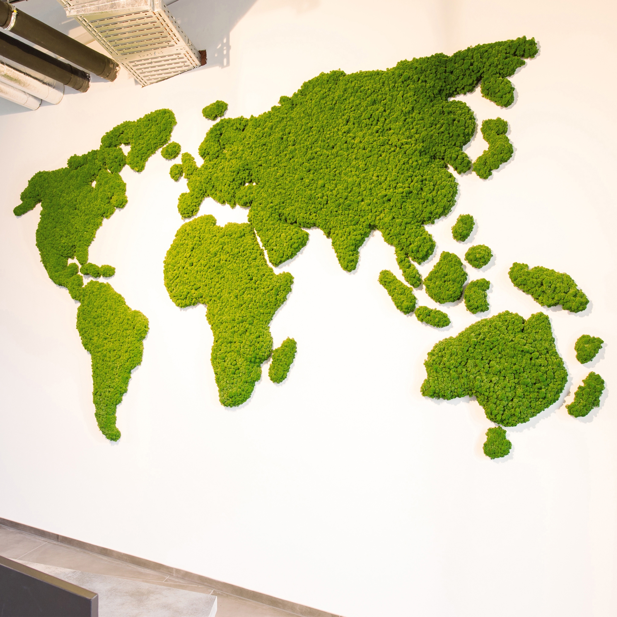 Display product Evergreen Premium individually shaped from manufacturer Freund
