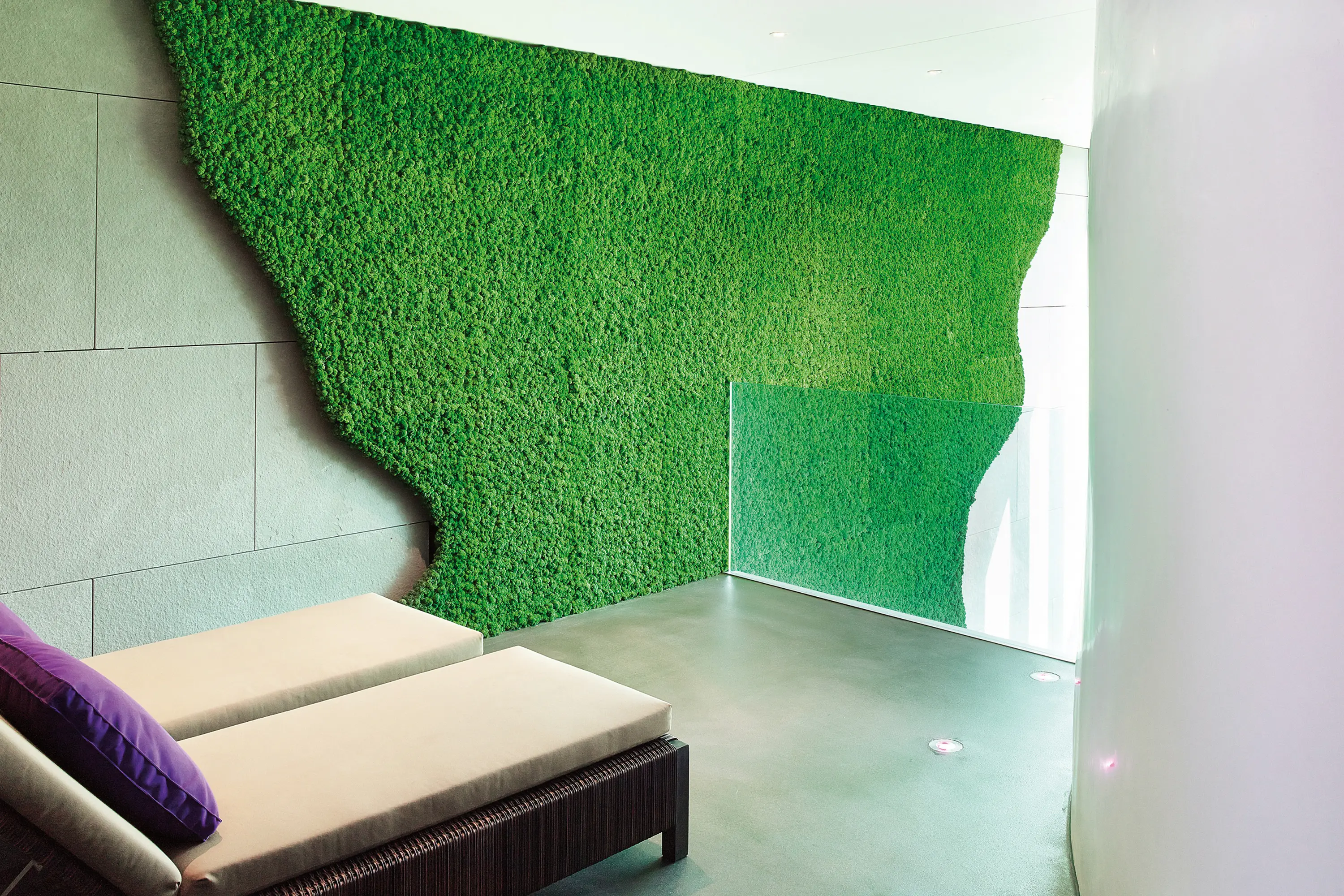 Freund - Evergreen Premium individually shaped