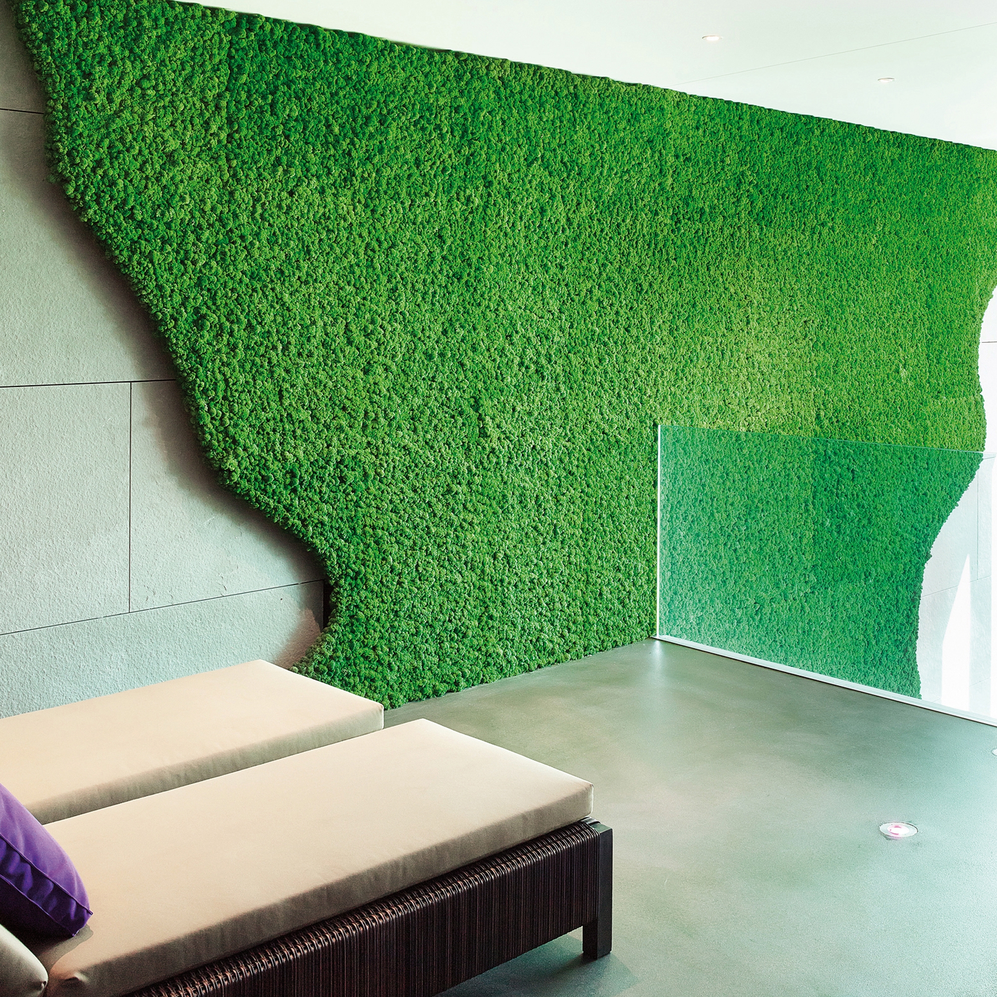 Display product Evergreen Premium individually shaped from manufacturer Freund