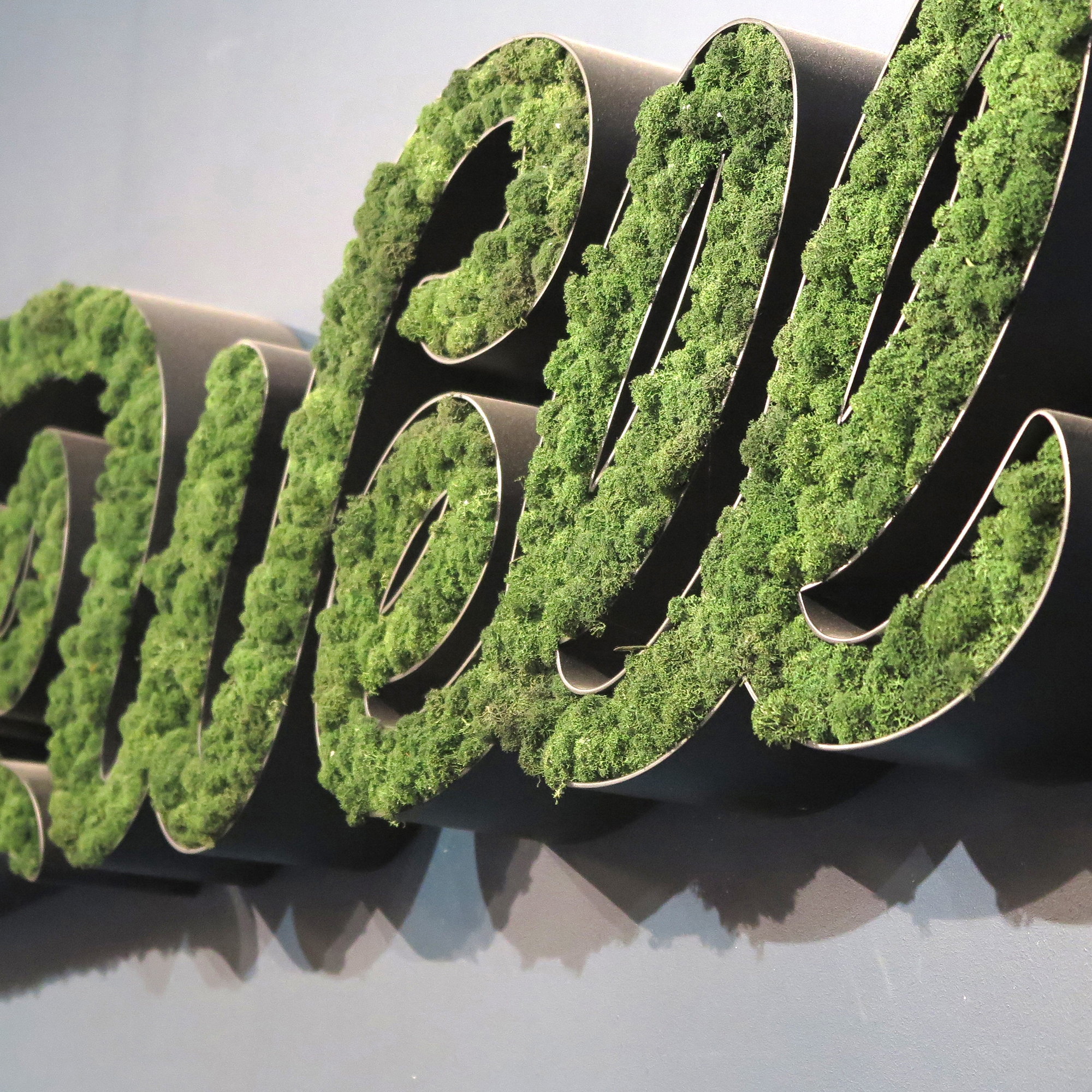 Display product Evergreen Premium individually shaped from manufacturer Freund