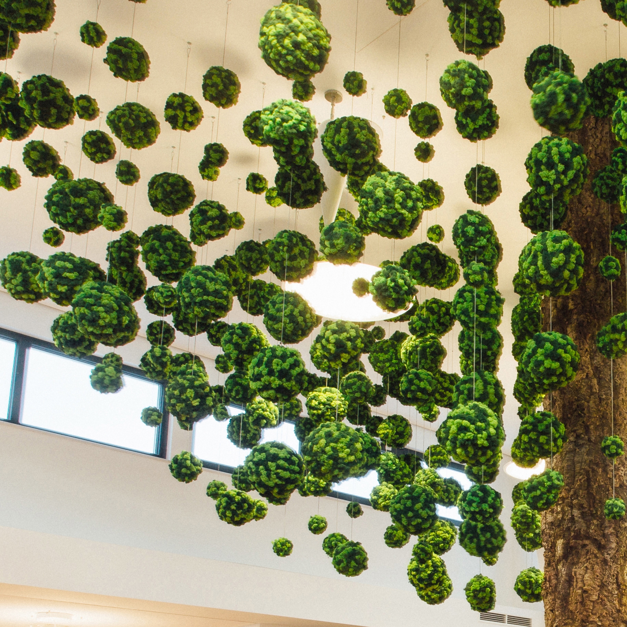 Display product Evergreen Premium individually shaped from manufacturer Freund