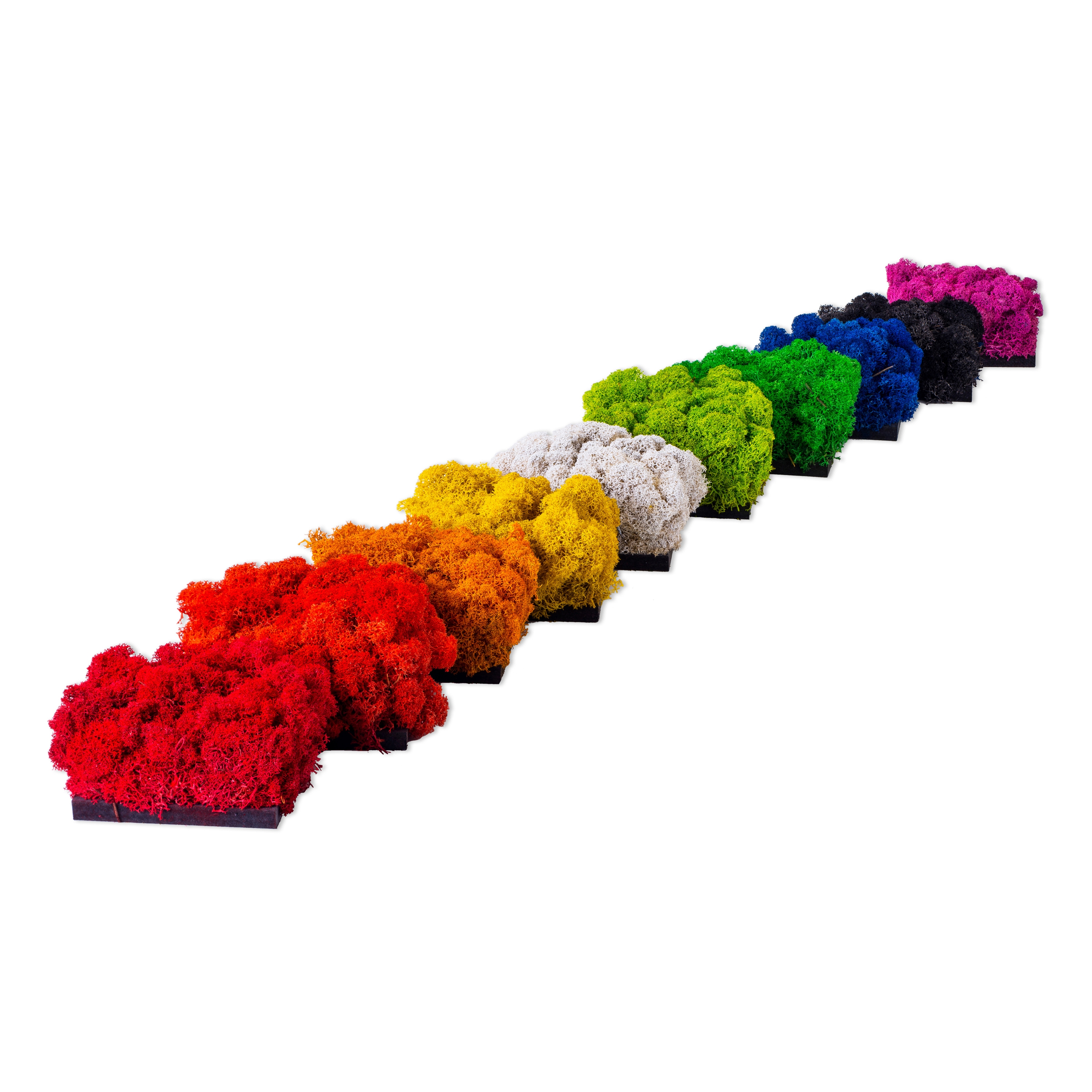 Display product Evergreen Premium Moss color combinations from manufacturer Freund