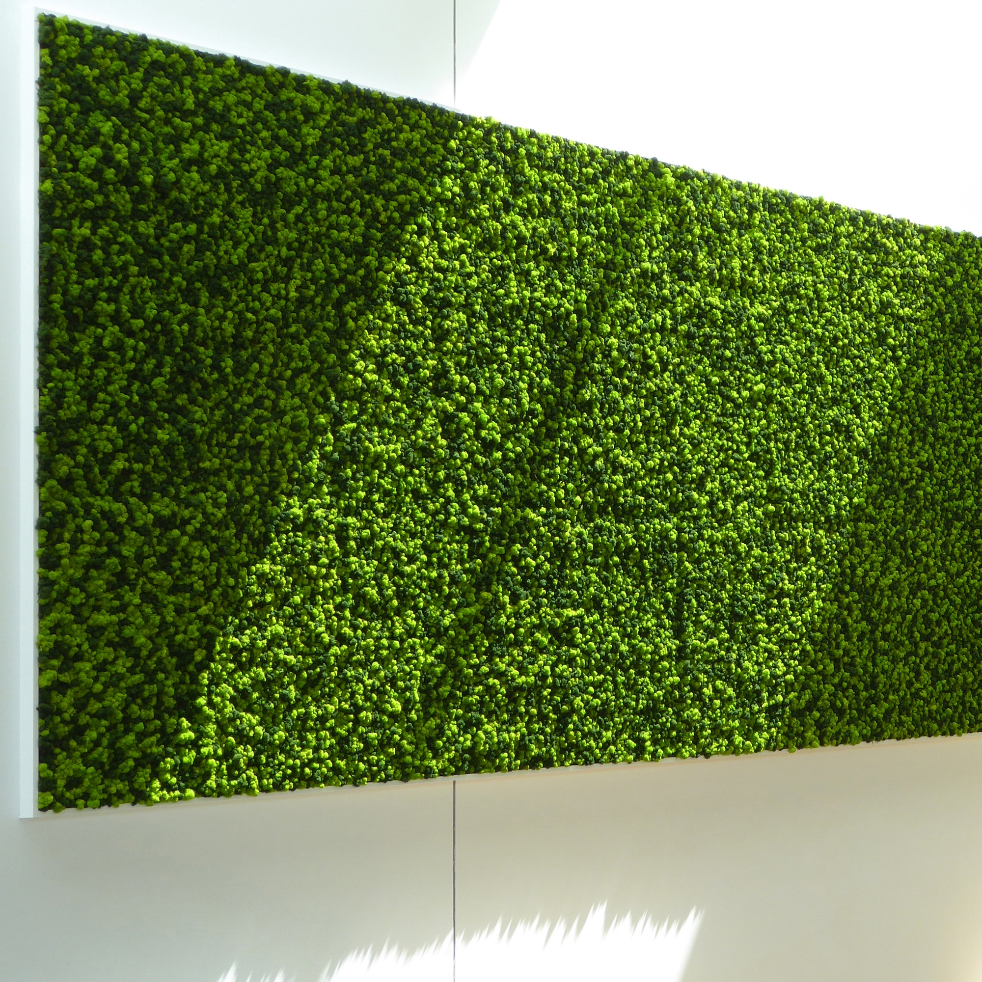 Display product Evergreen Premium Moss color combinations from manufacturer Freund