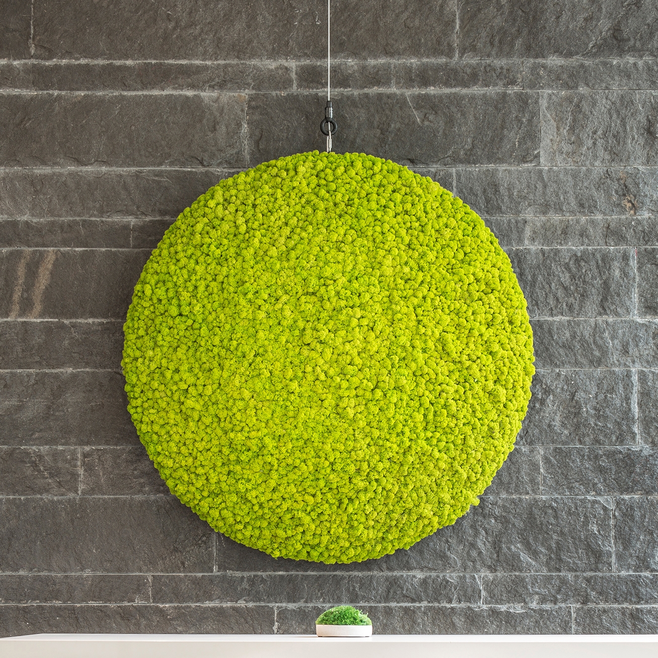 Display product Evergreen Premium moss pictures from manufacturer Freund