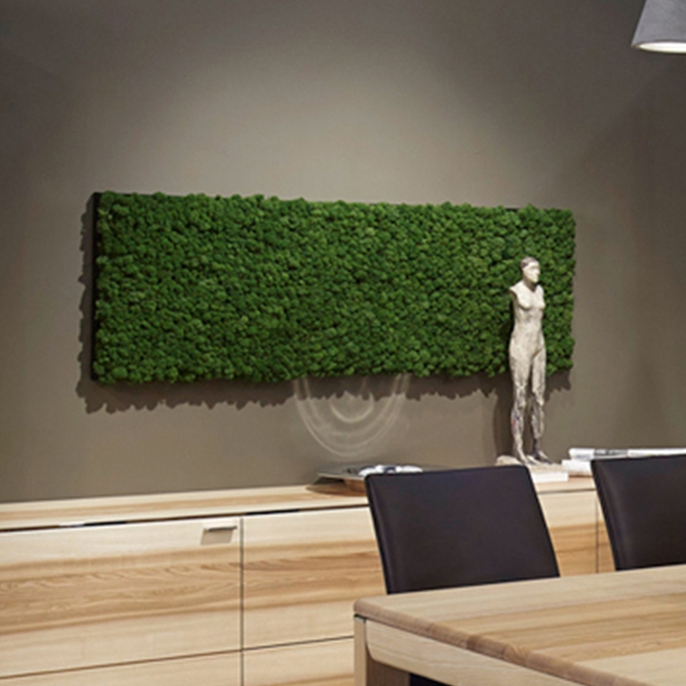 Display product Evergreen Premium moss pictures from manufacturer Freund