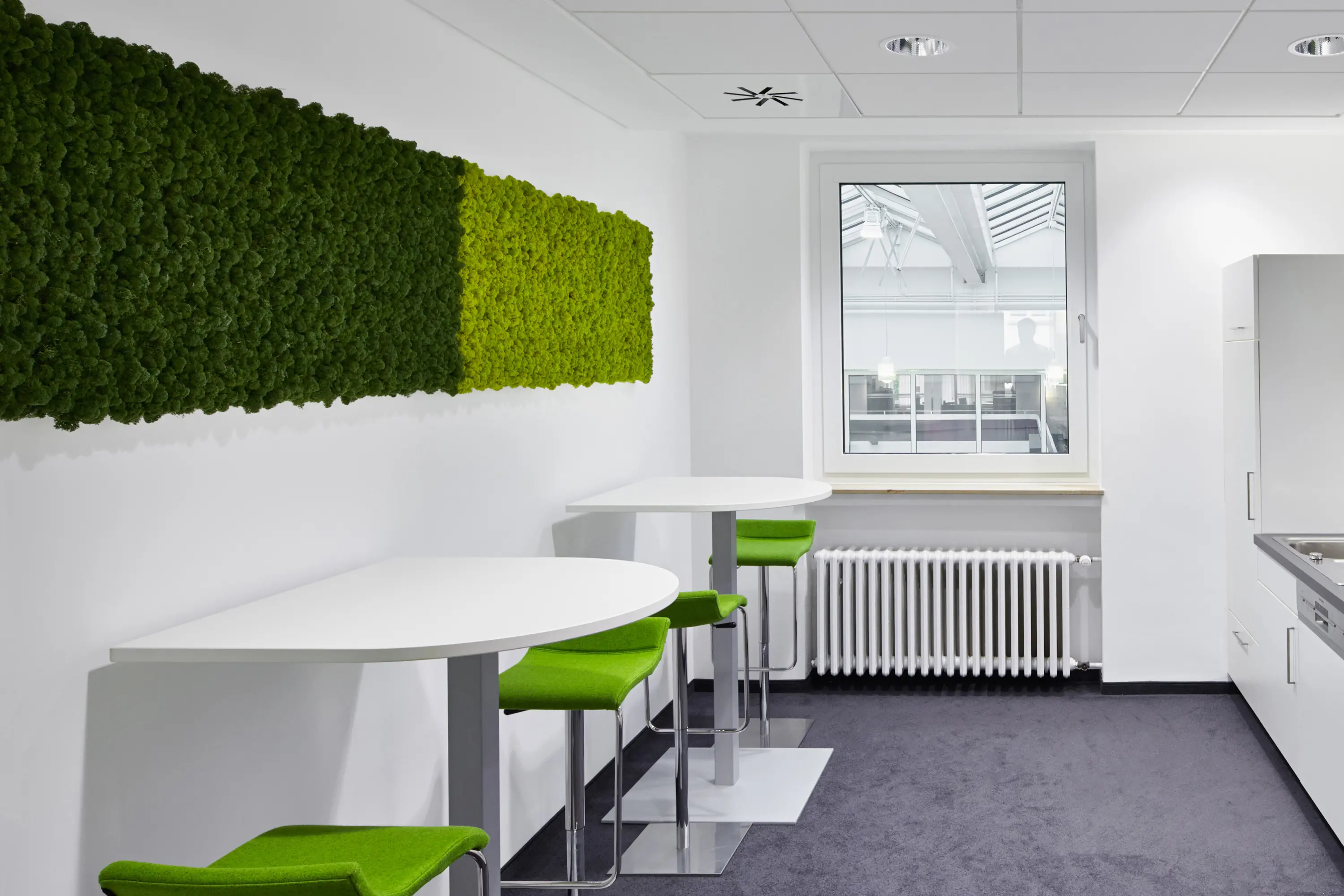 Freund - Evergreen Premium moss pictures