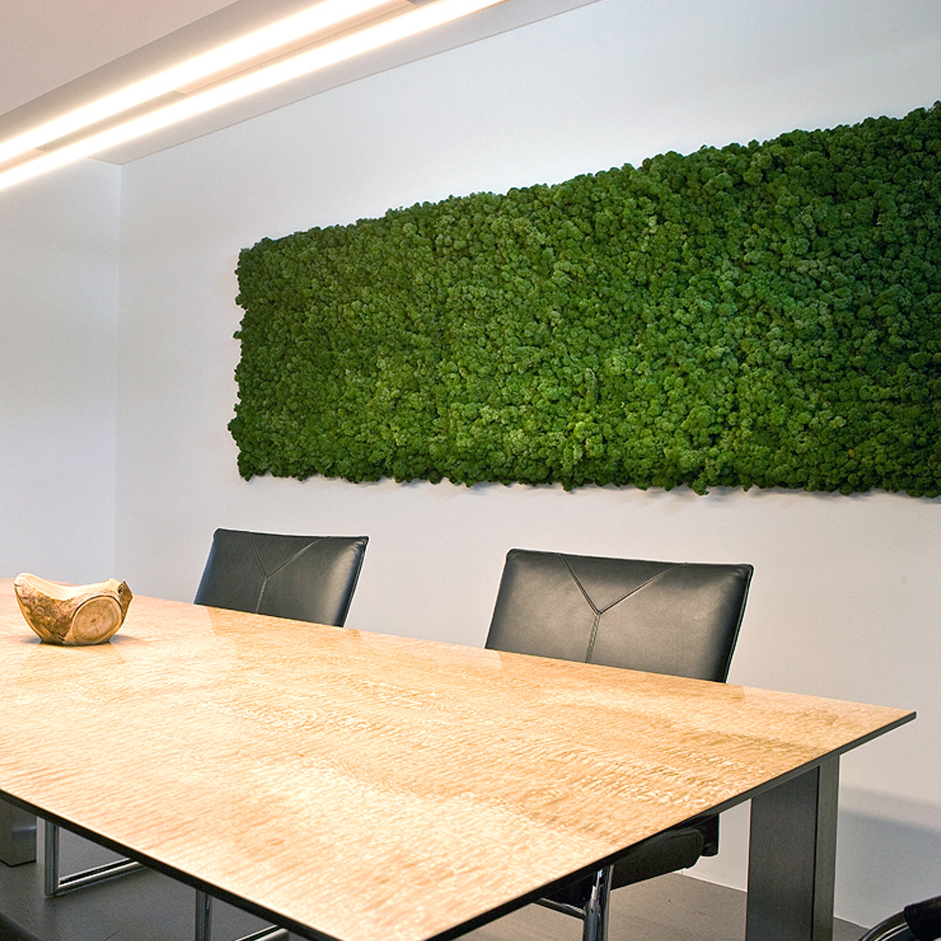 Display product Evergreen Premium moss pictures from manufacturer Freund