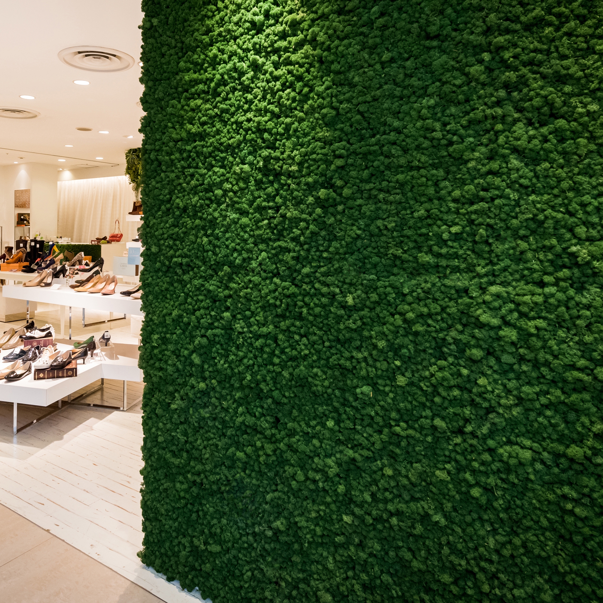 Display product Moosgreen Flexible from manufacturer Freund