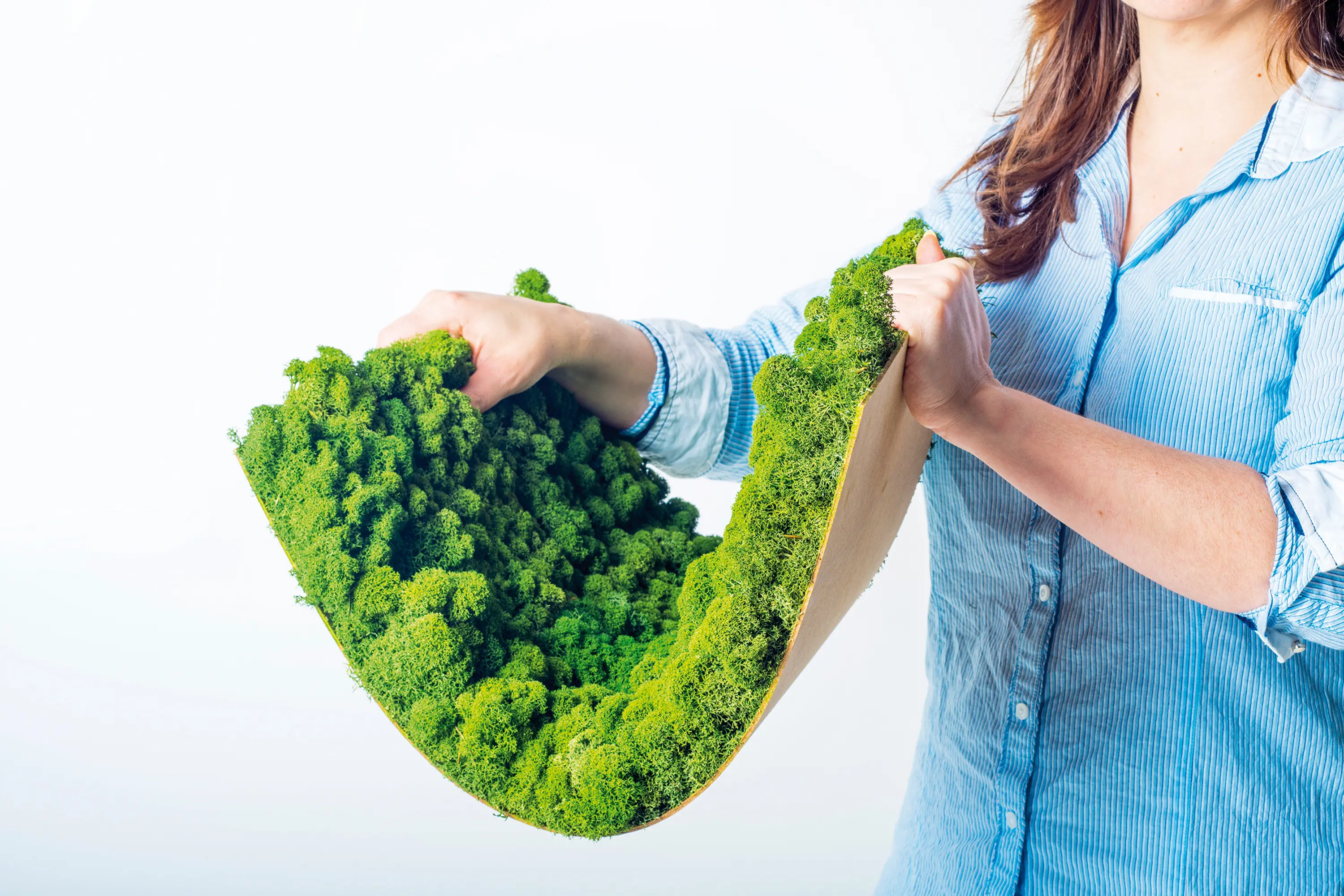 Freund - Moosgreen Flexible