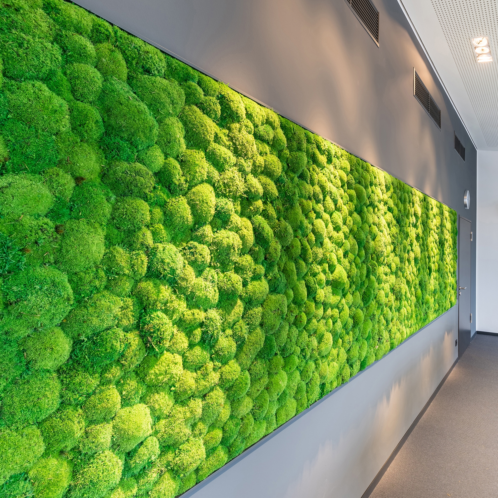 Display product Greenhill Moss walls from manufacturer Freund