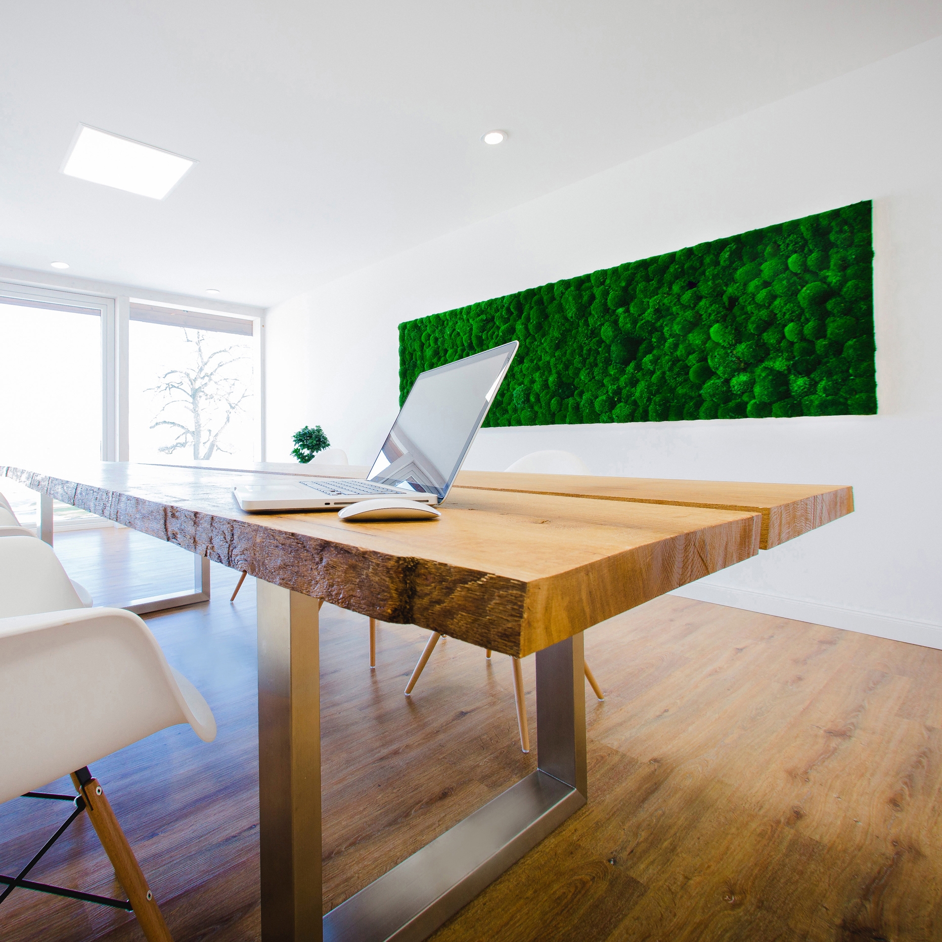 Display product Greenhill Moss walls from manufacturer Freund