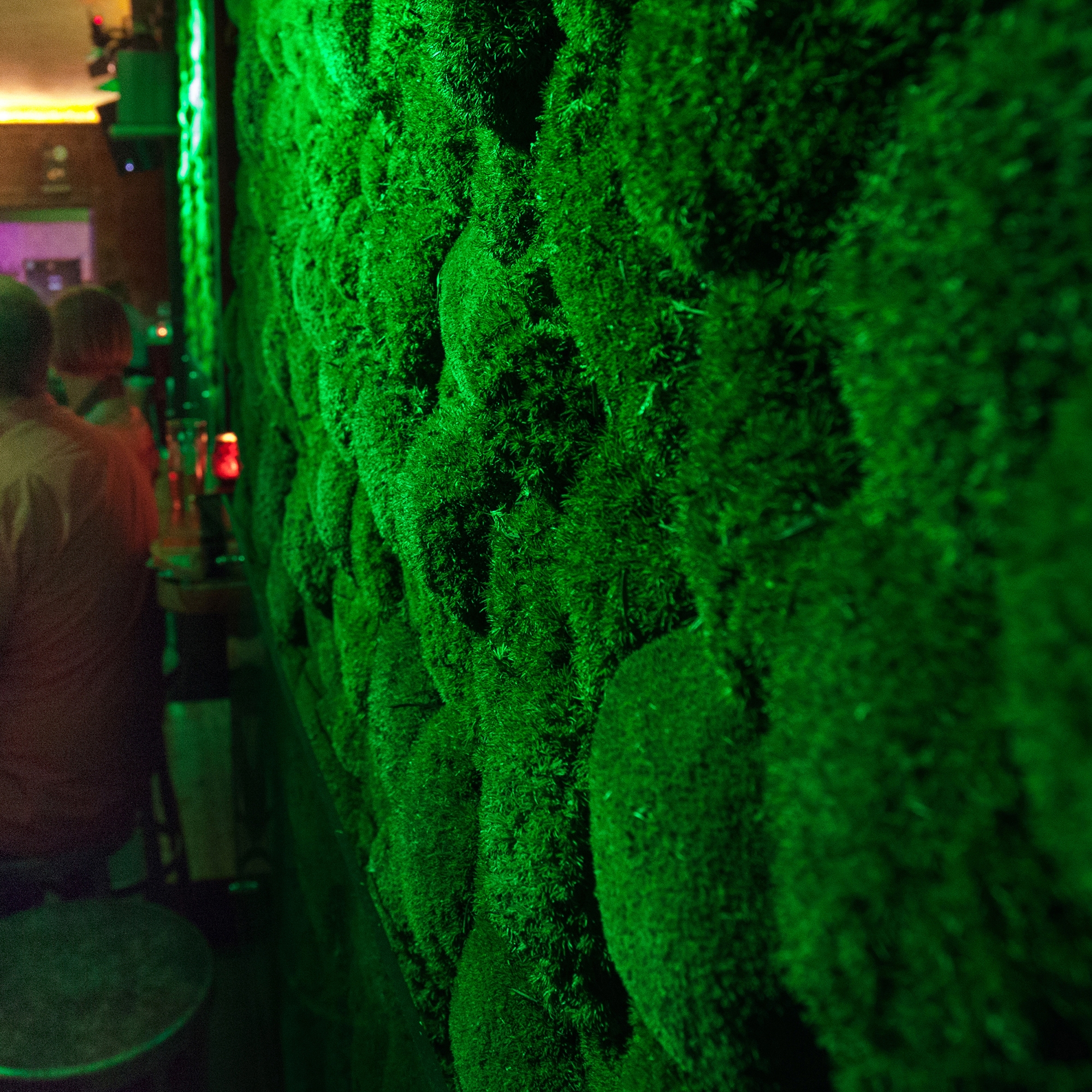 Display product Greenhill Moss walls from manufacturer Freund