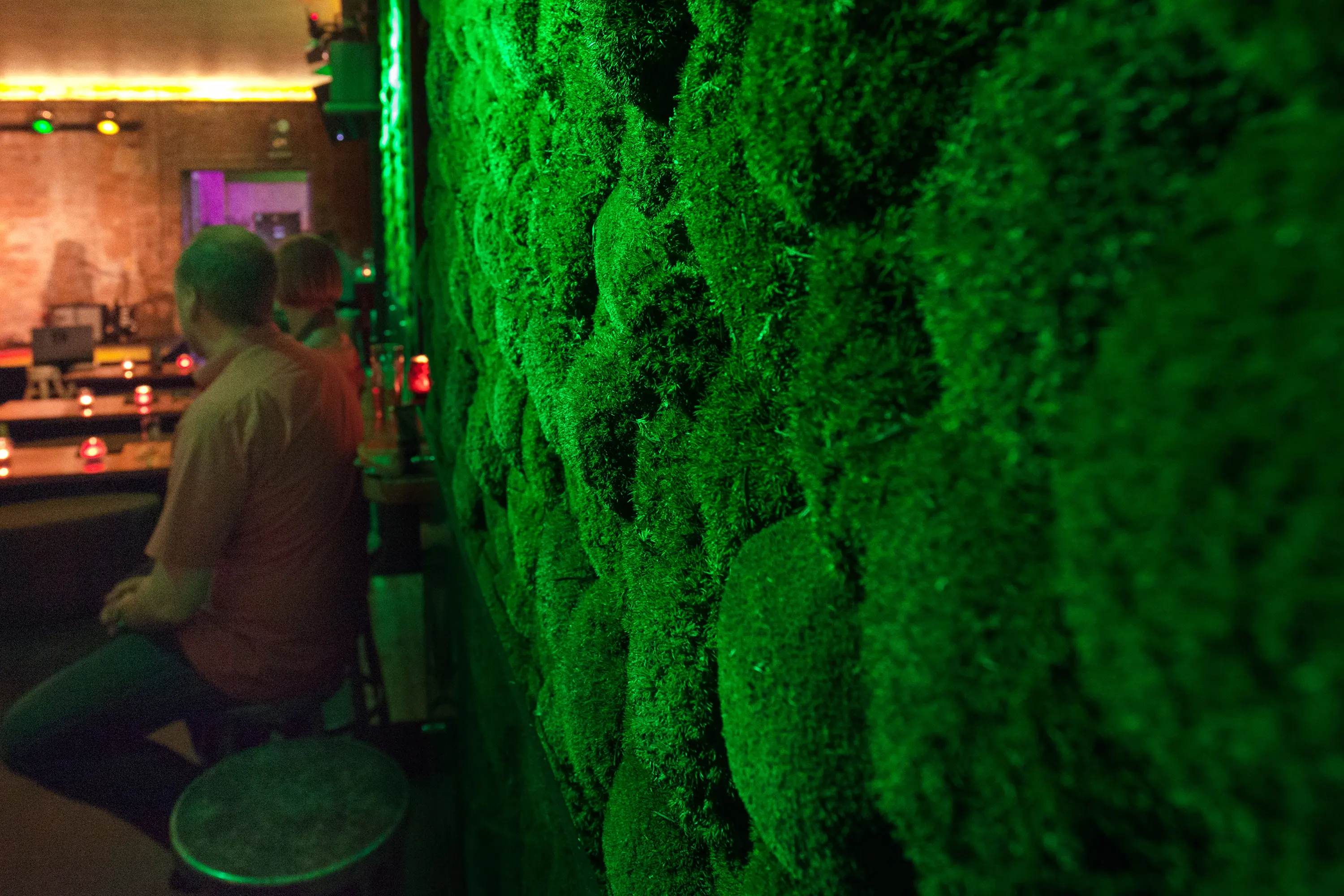 Freund - Greenhill Moss walls