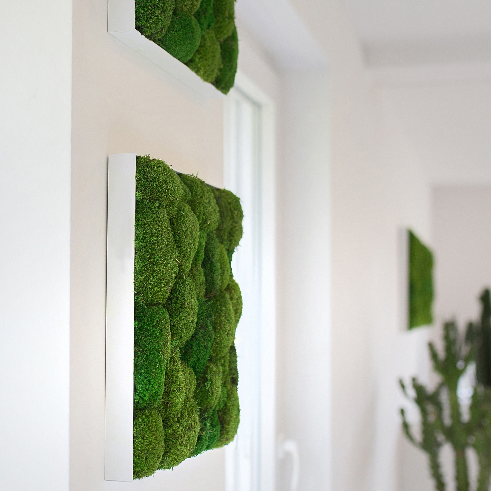 Display product Greenhill Moss Pictures from manufacturer Freund