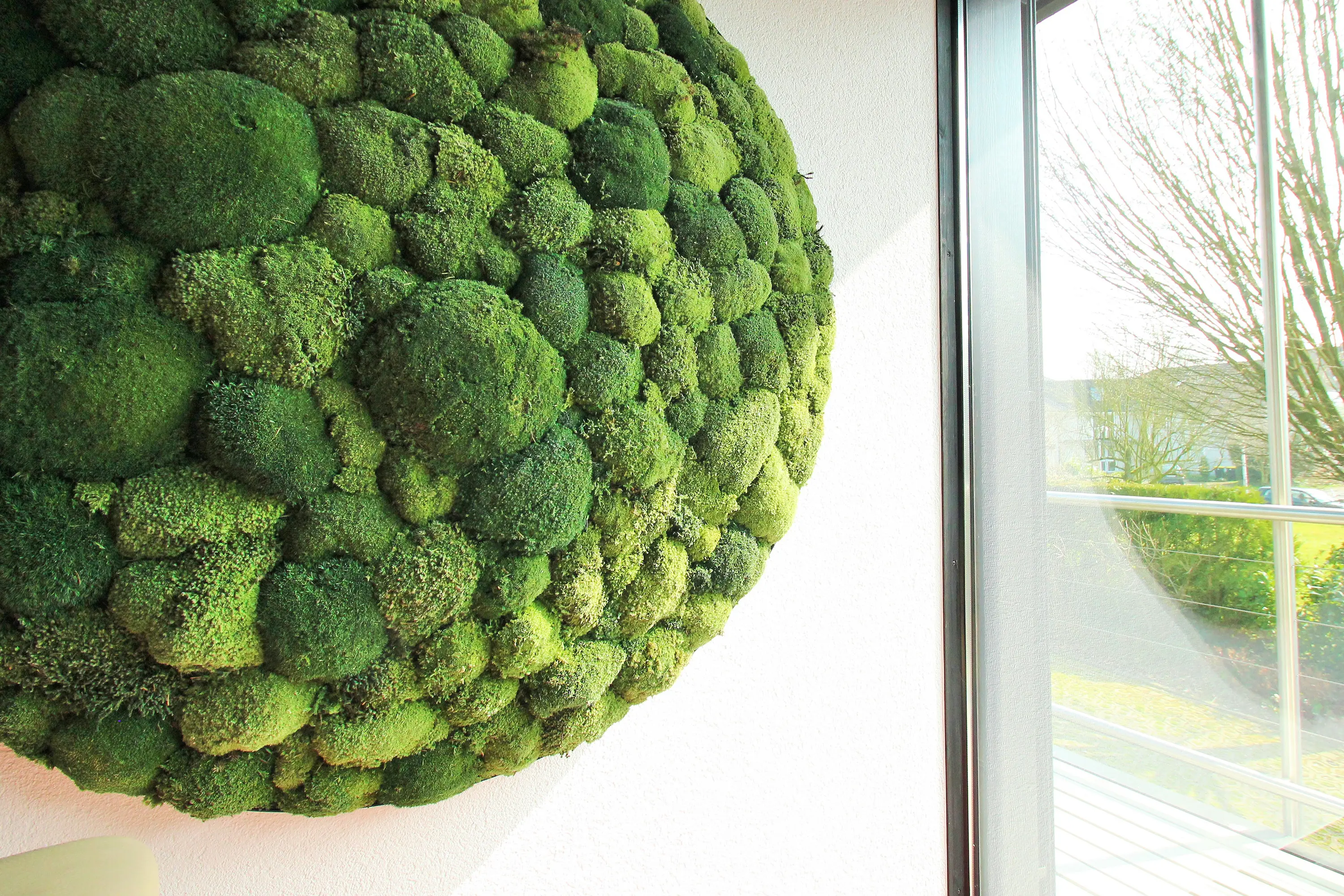 Freund - Greenhill Moosbilder