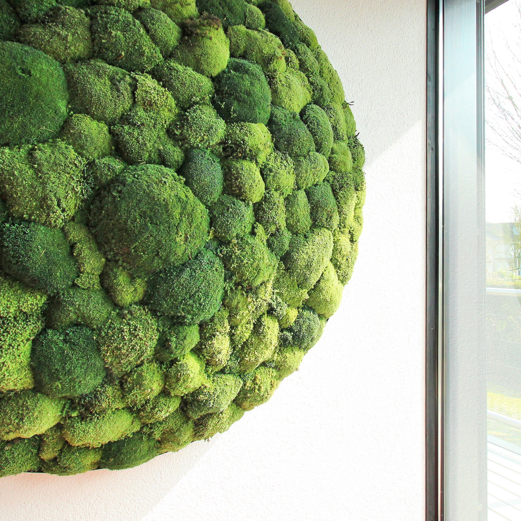 Display product Greenhill Moss Pictures from manufacturer Freund