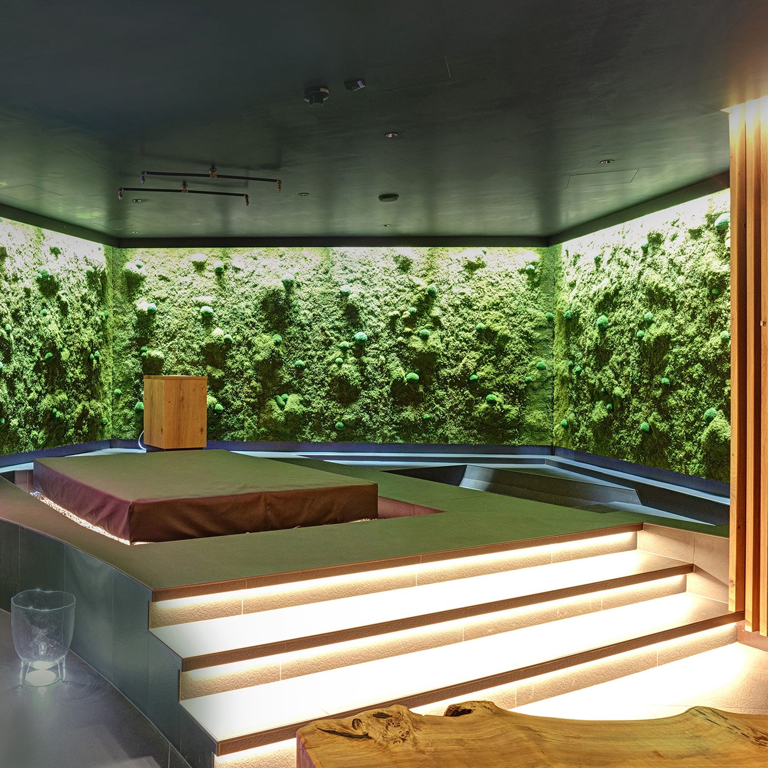 Display product Greenwood Moss from manufacturer Freund