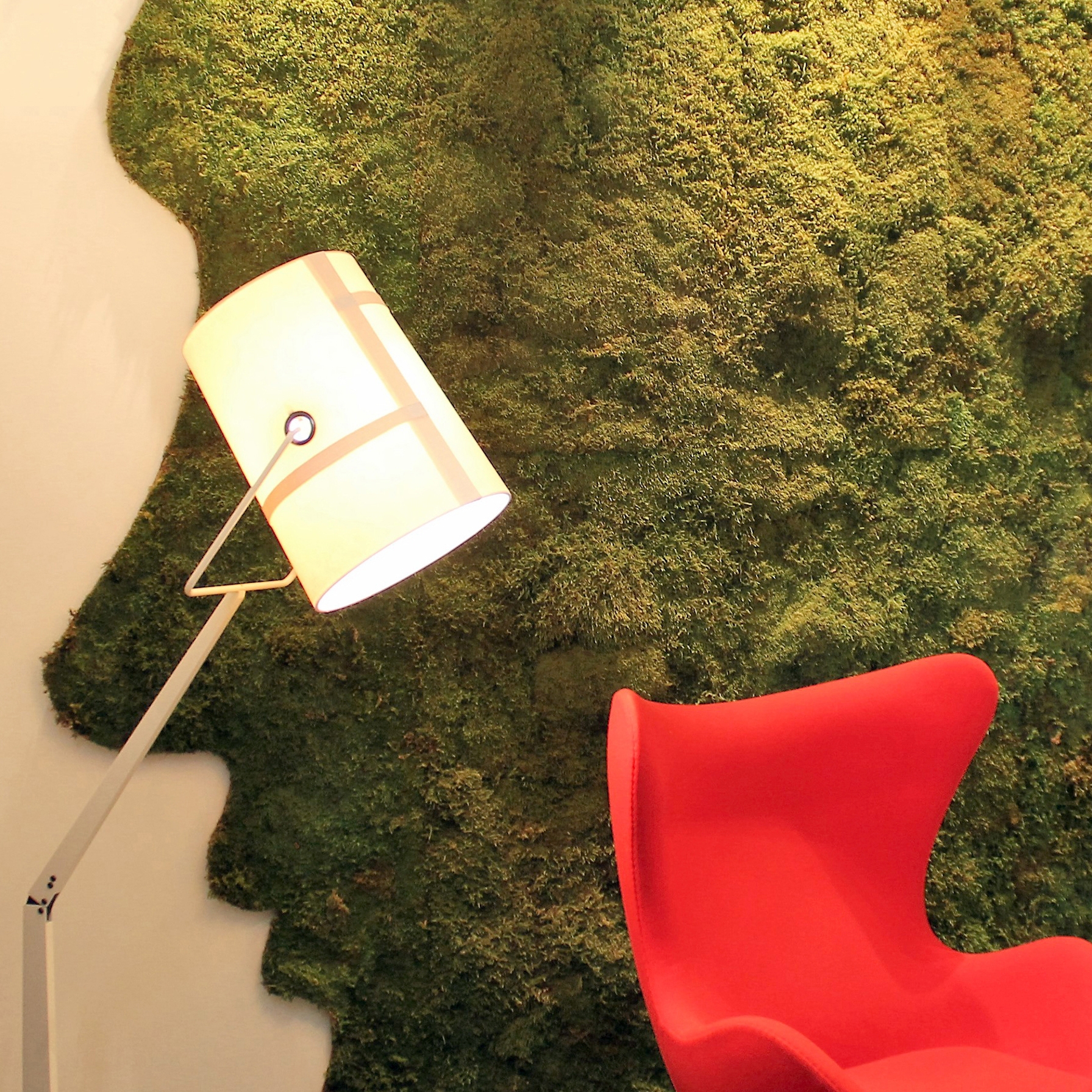 Display product Greenwood Moss from manufacturer Freund